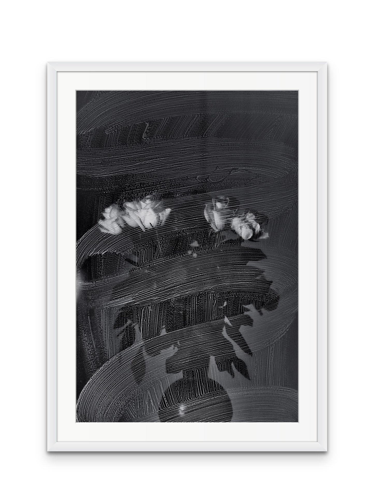 Brushed Roses