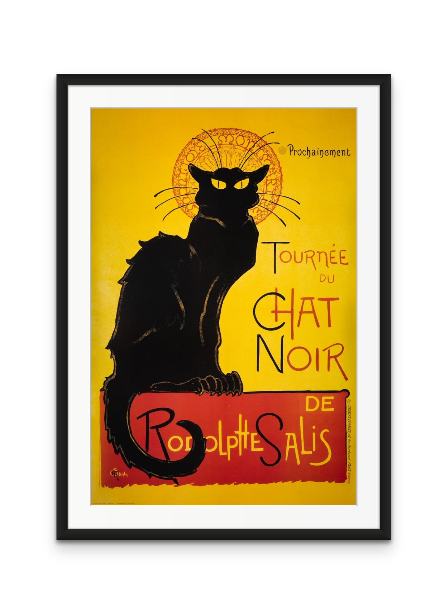 Chat Noir