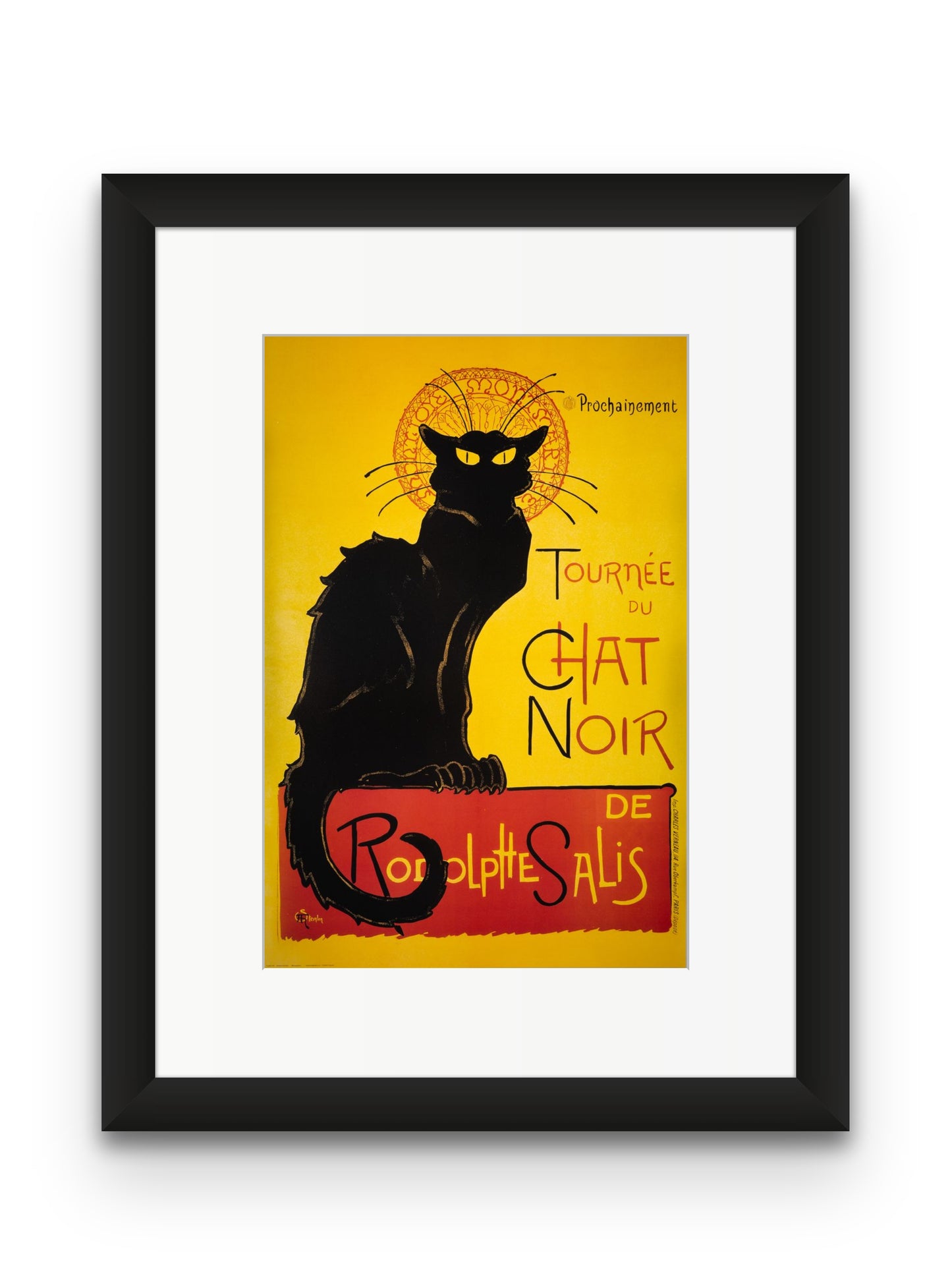 Chat Noir