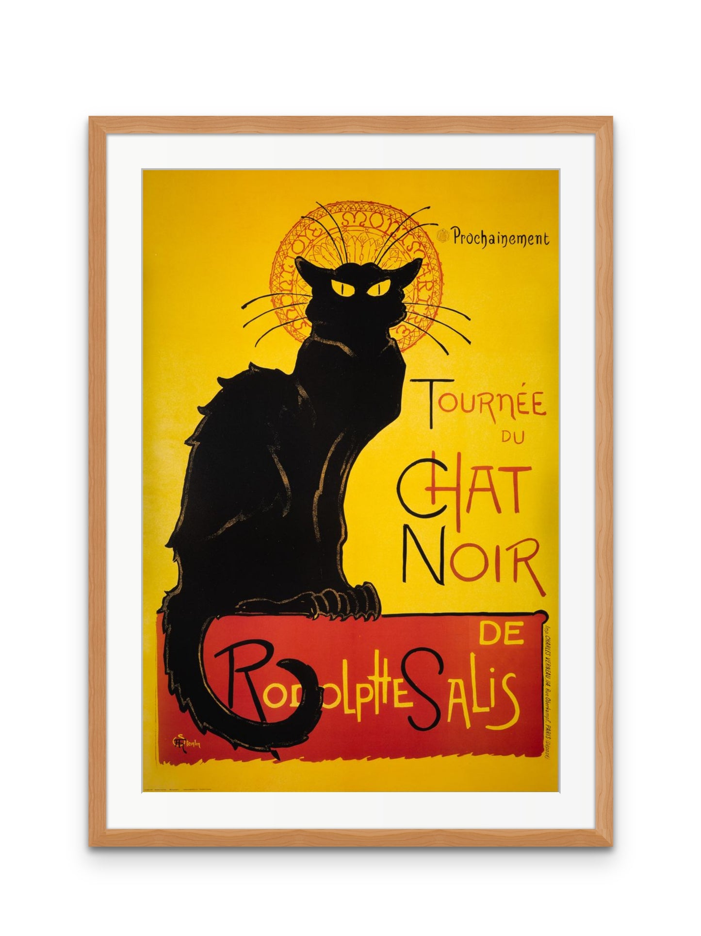 Chat Noir