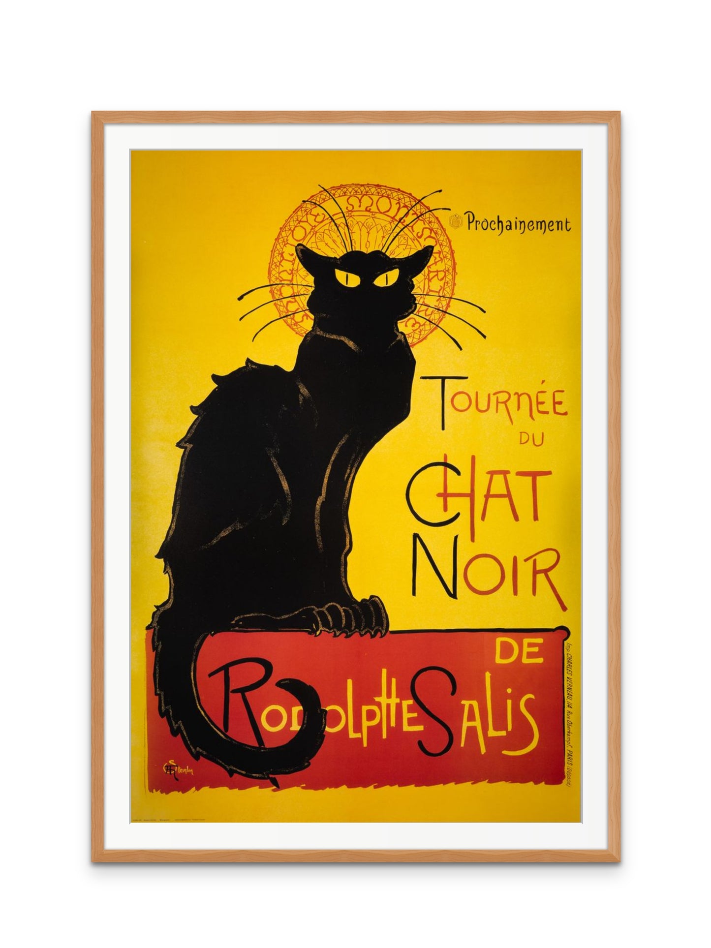 Chat Noir