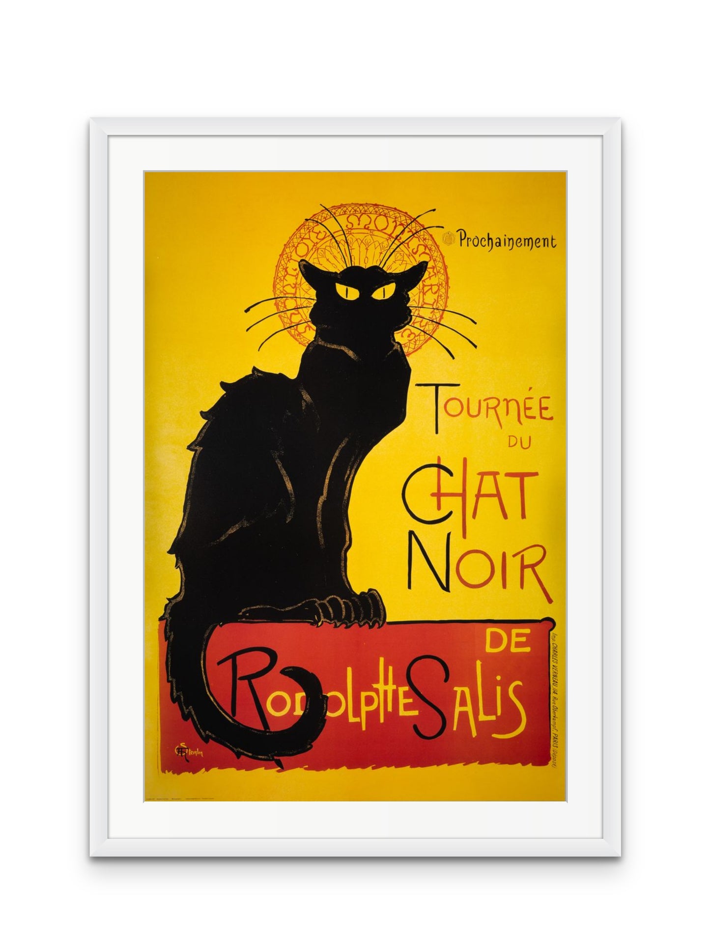 Chat Noir