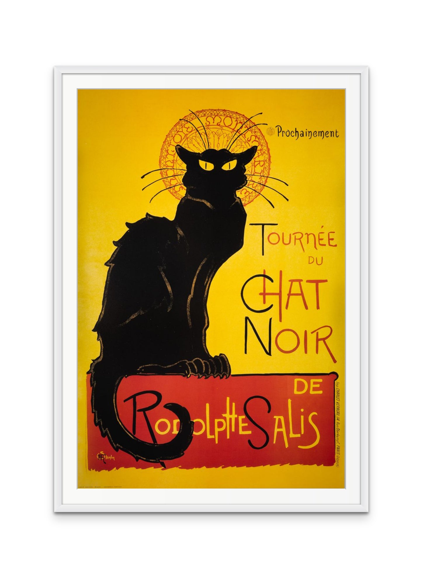 Chat Noir