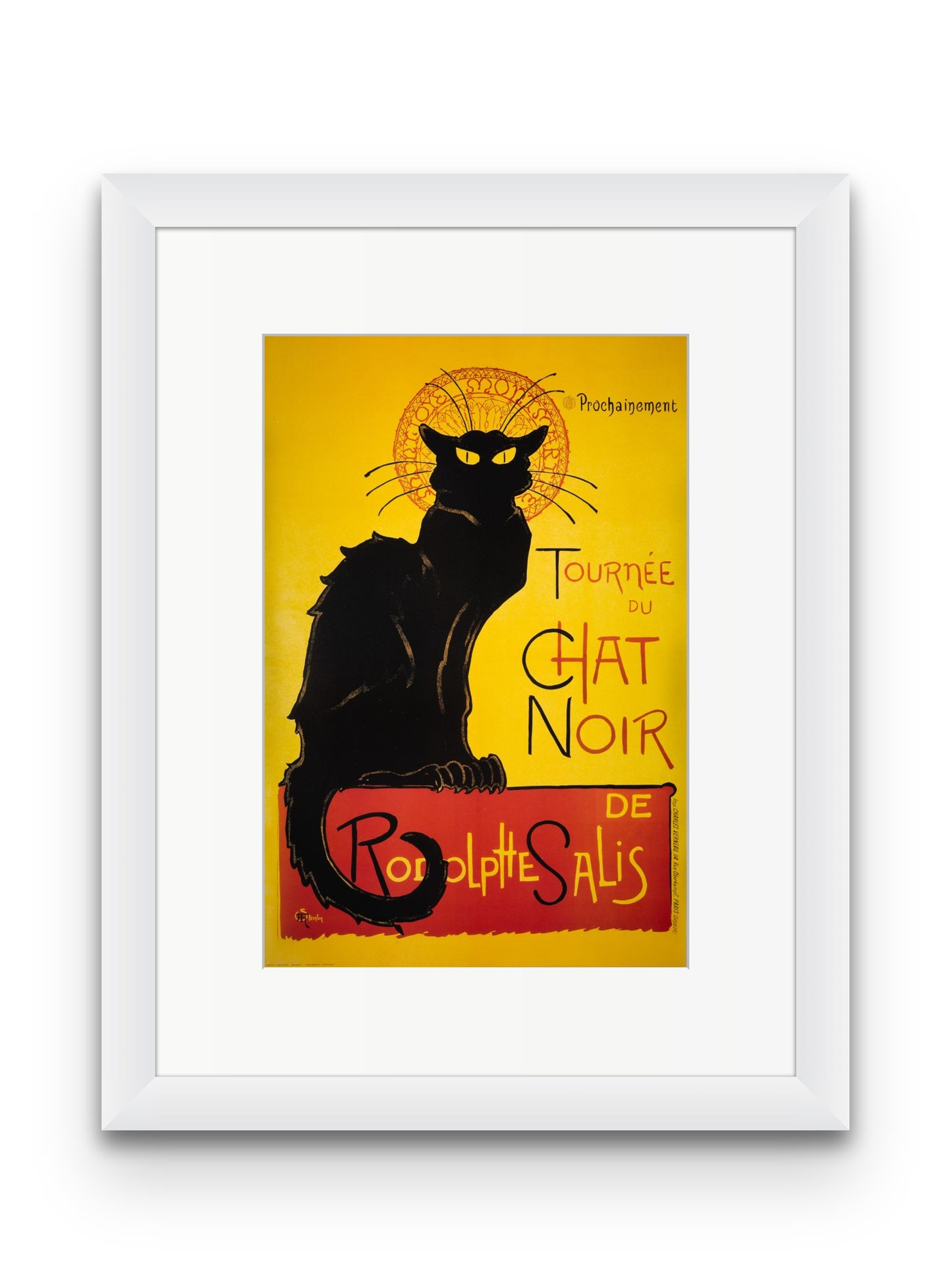 Chat Noir