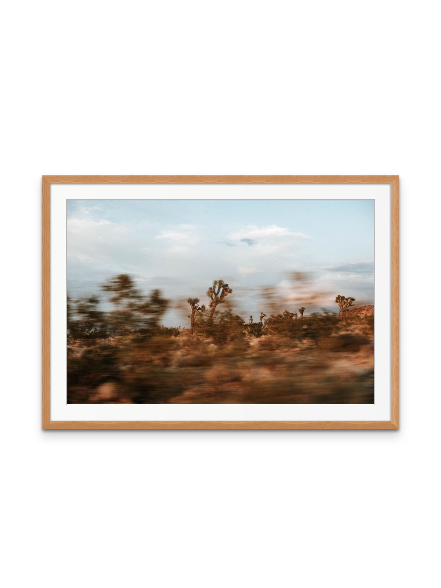 Joshua Tree