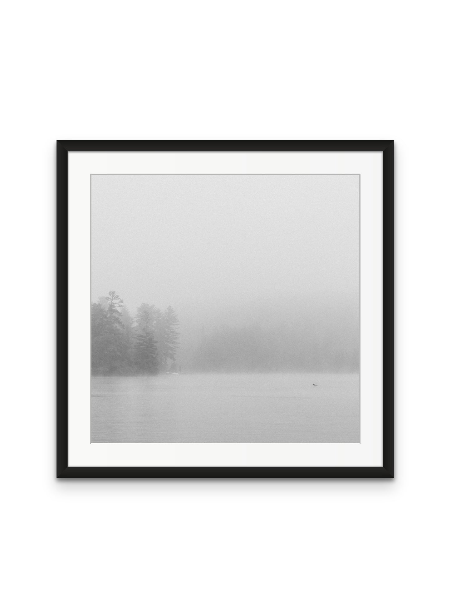 Loon In The Fog
