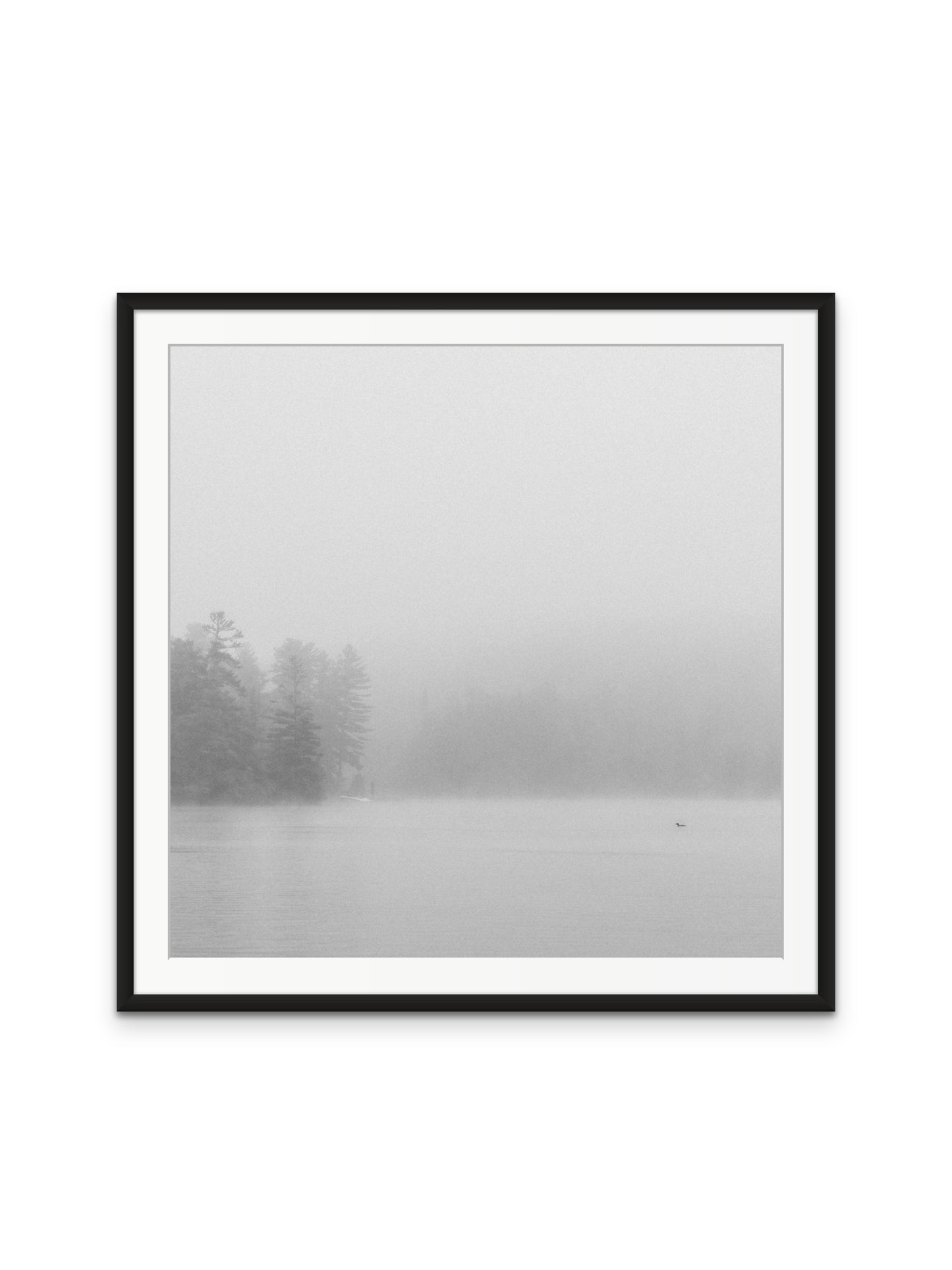Loon In The Fog