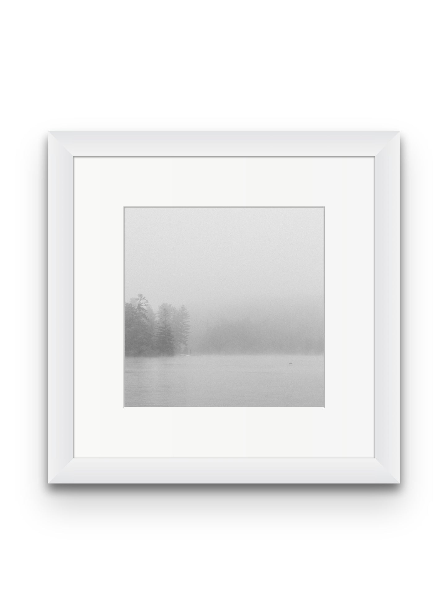 Loon In The Fog