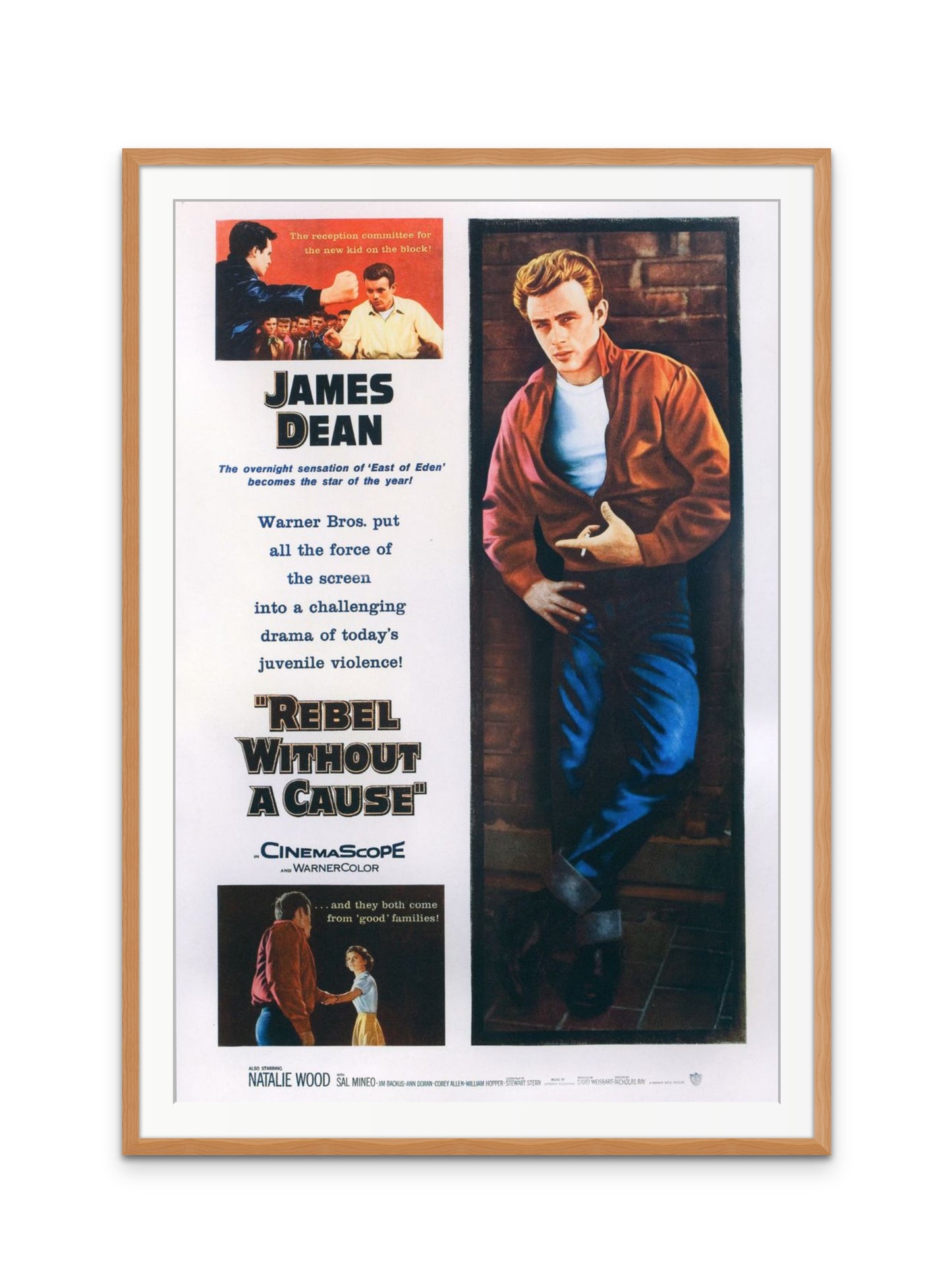 Rebel Without A Cause