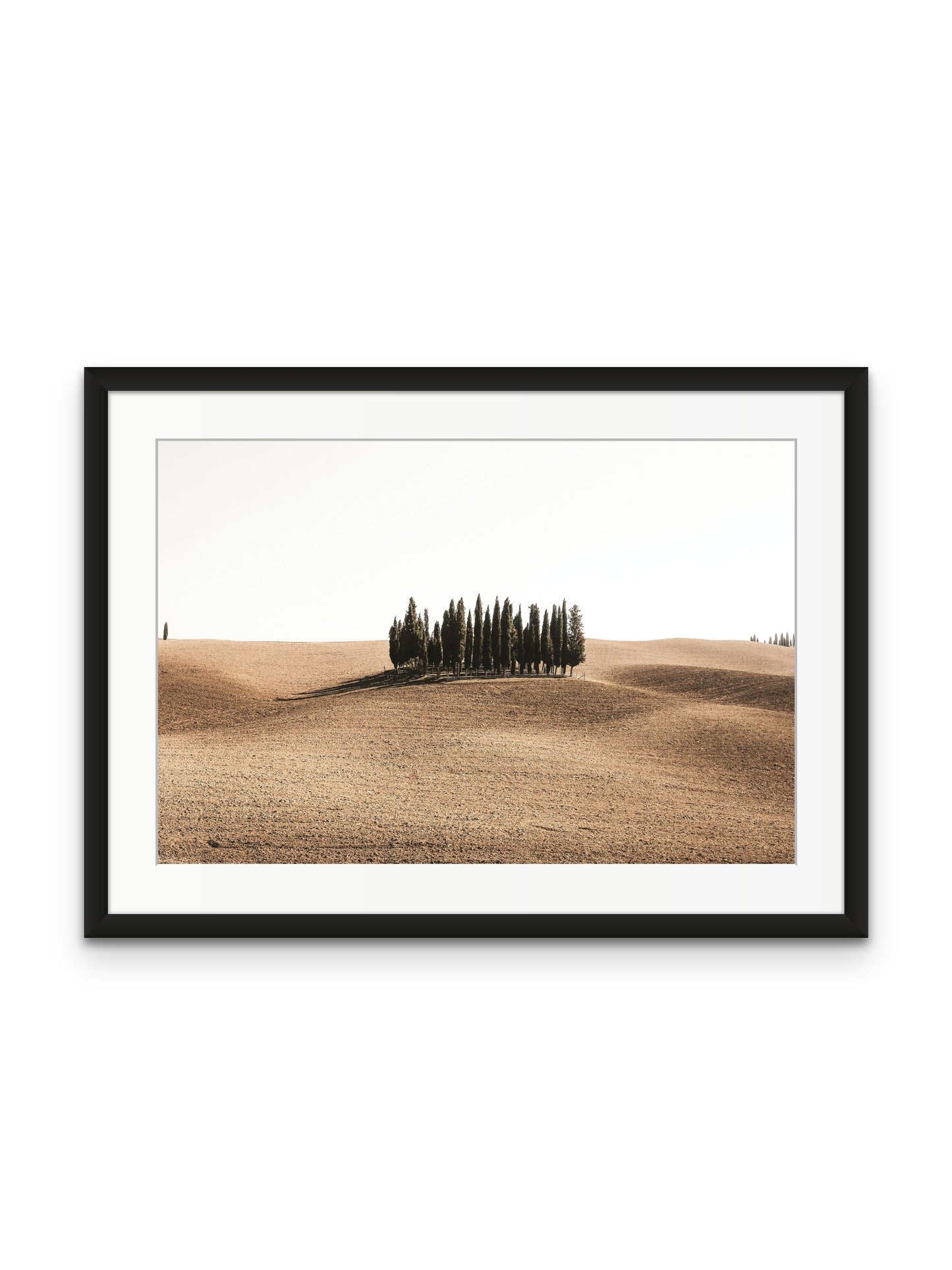 Tuscan Hills