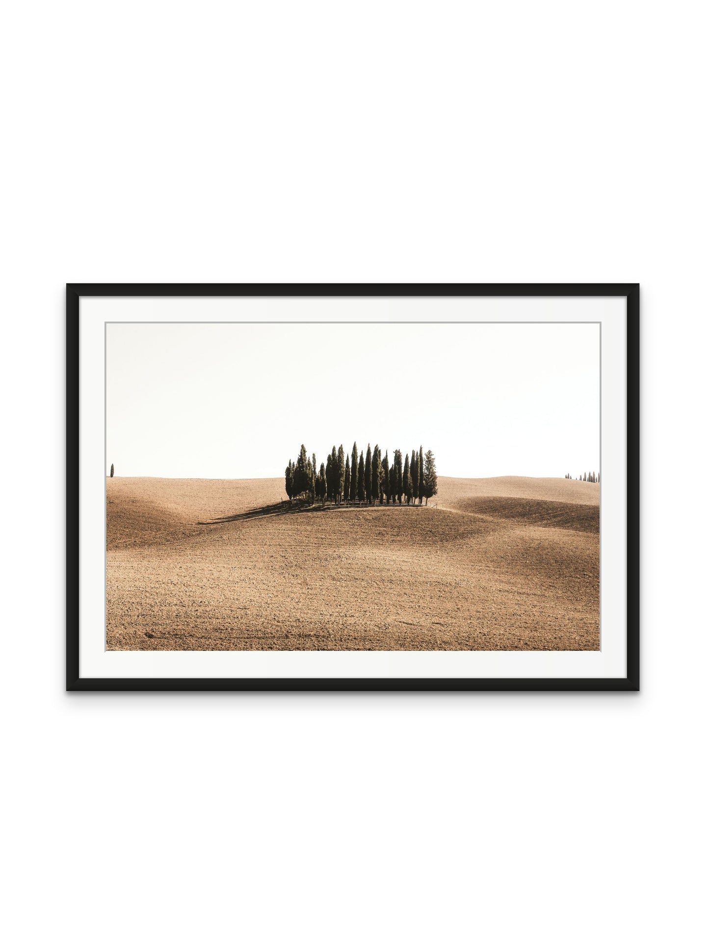 Tuscan Hills