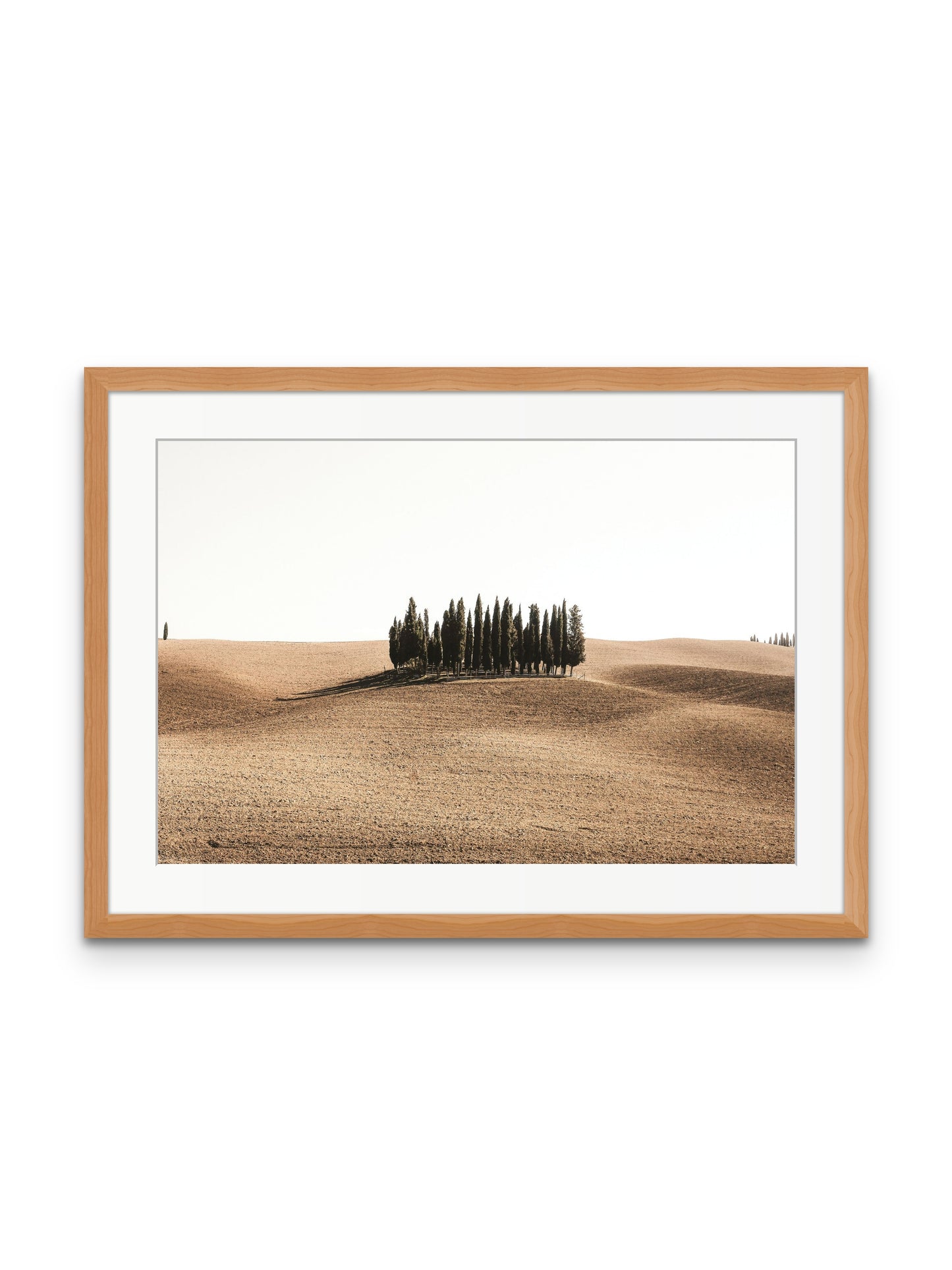 Tuscan Hills