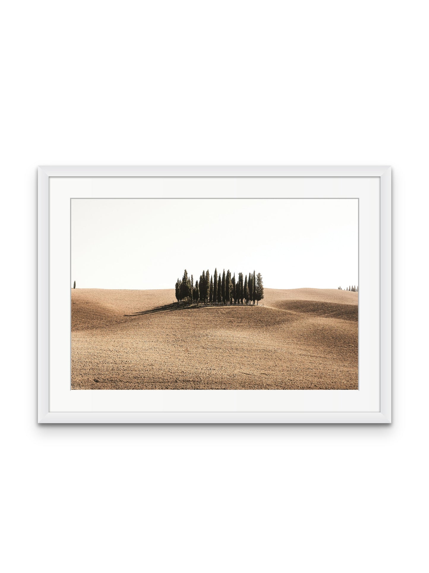 Tuscan Hills
