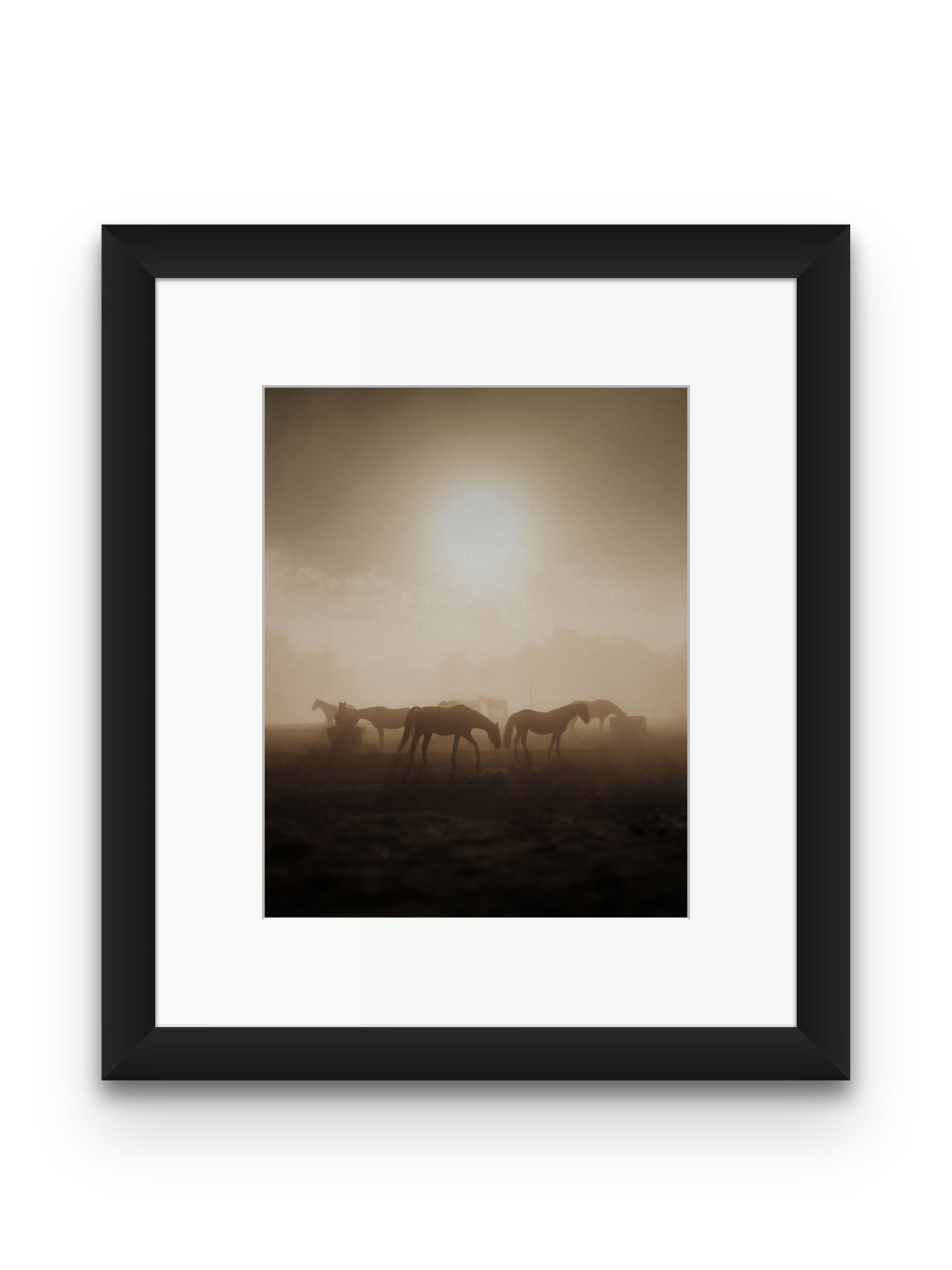 Wild Horses