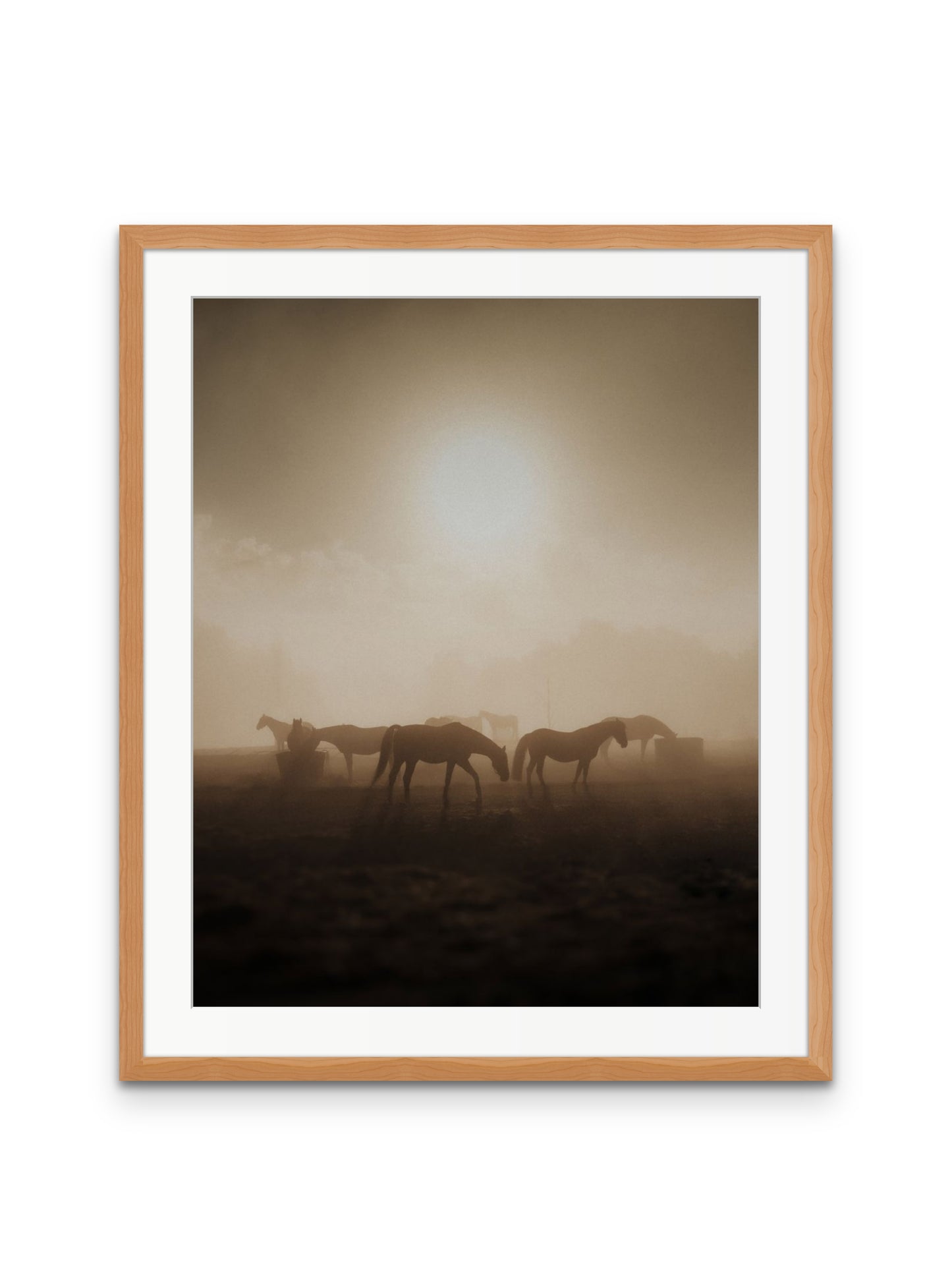 Wild Horses
