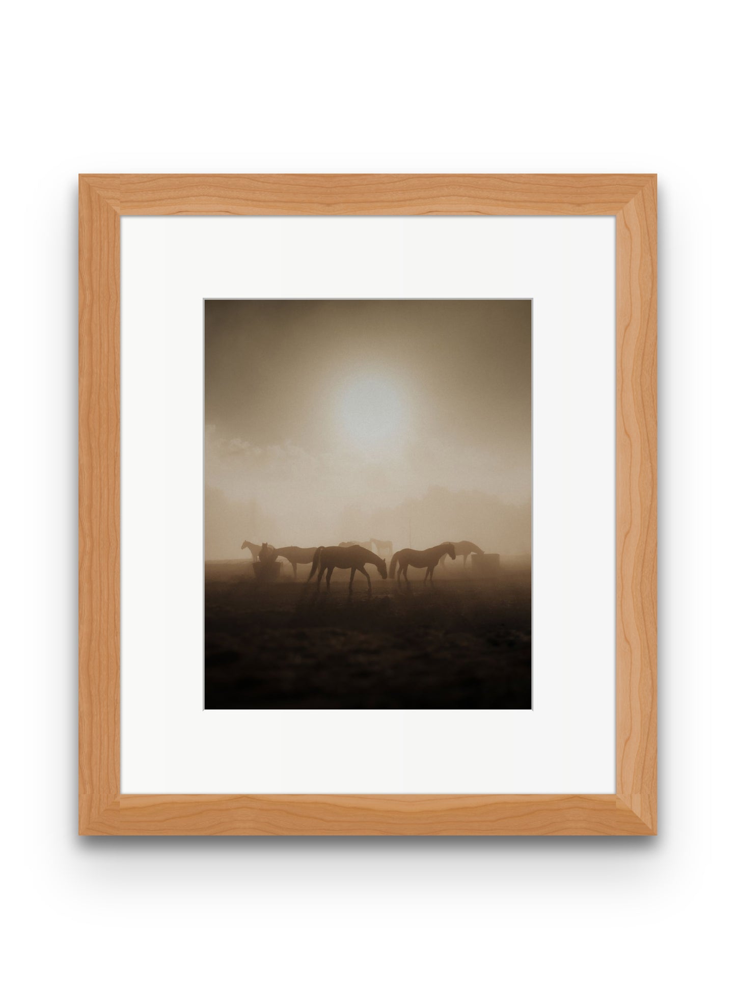 Wild Horses