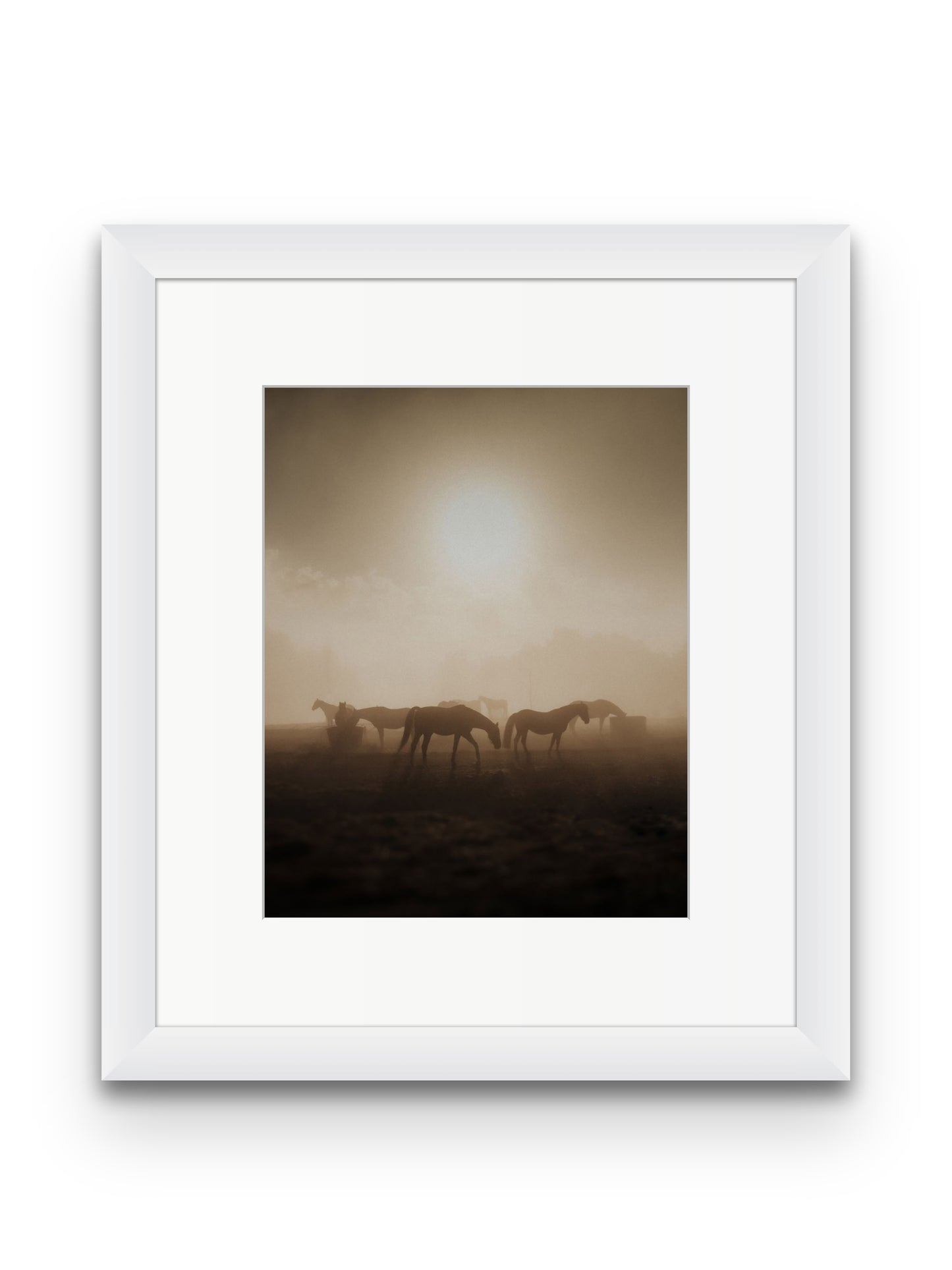 Wild Horses
