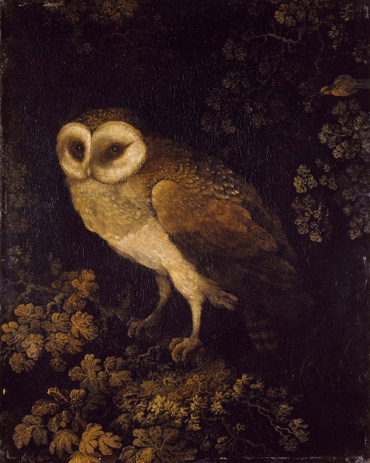 Antique Owl