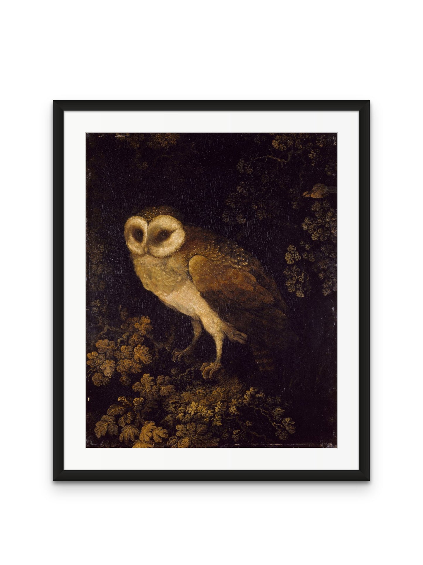 Antique Owl