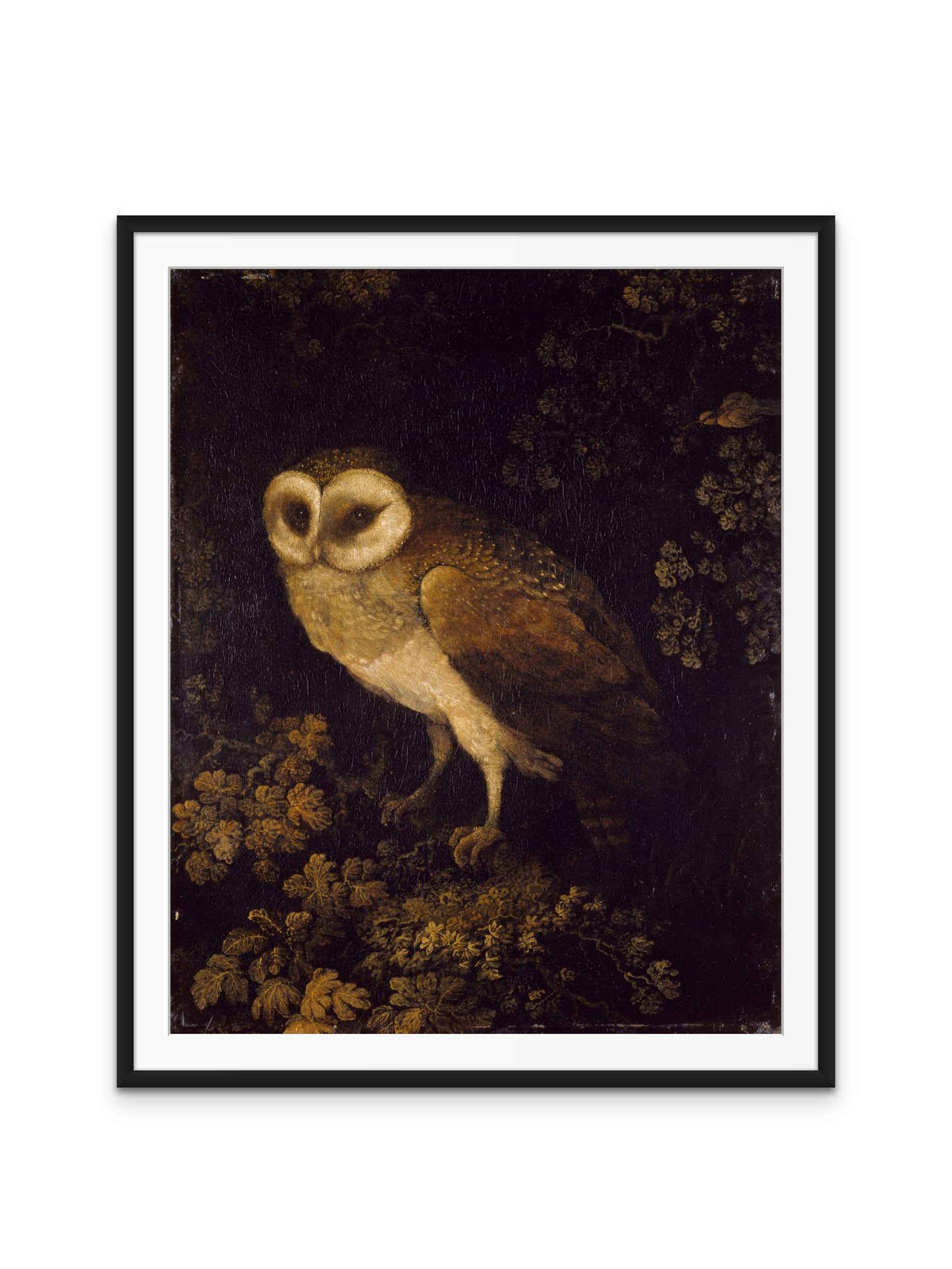 Antique Owl