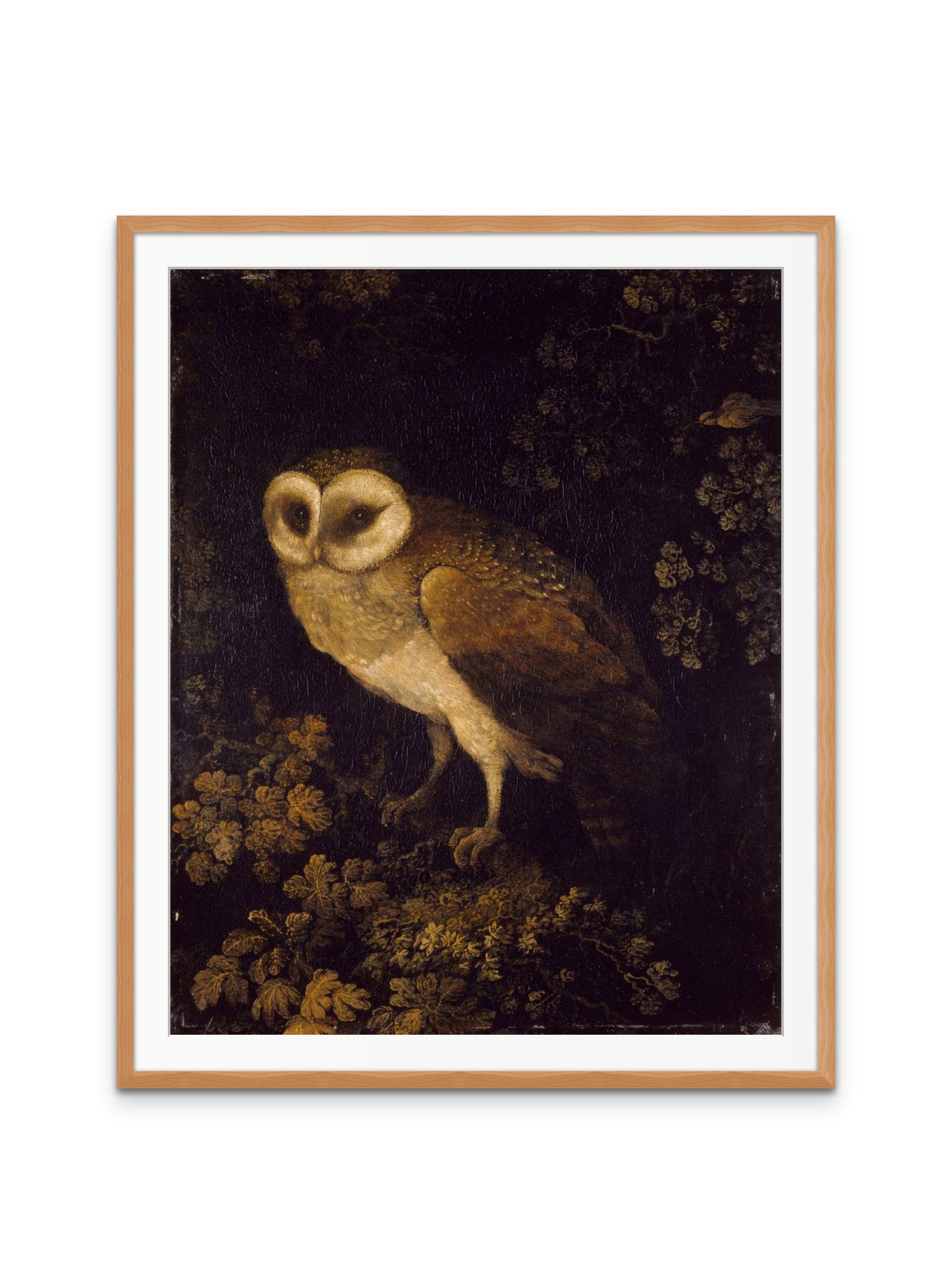 Antique Owl