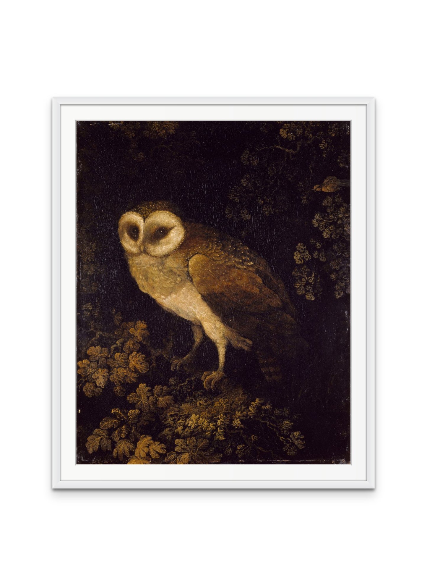 Antique Owl