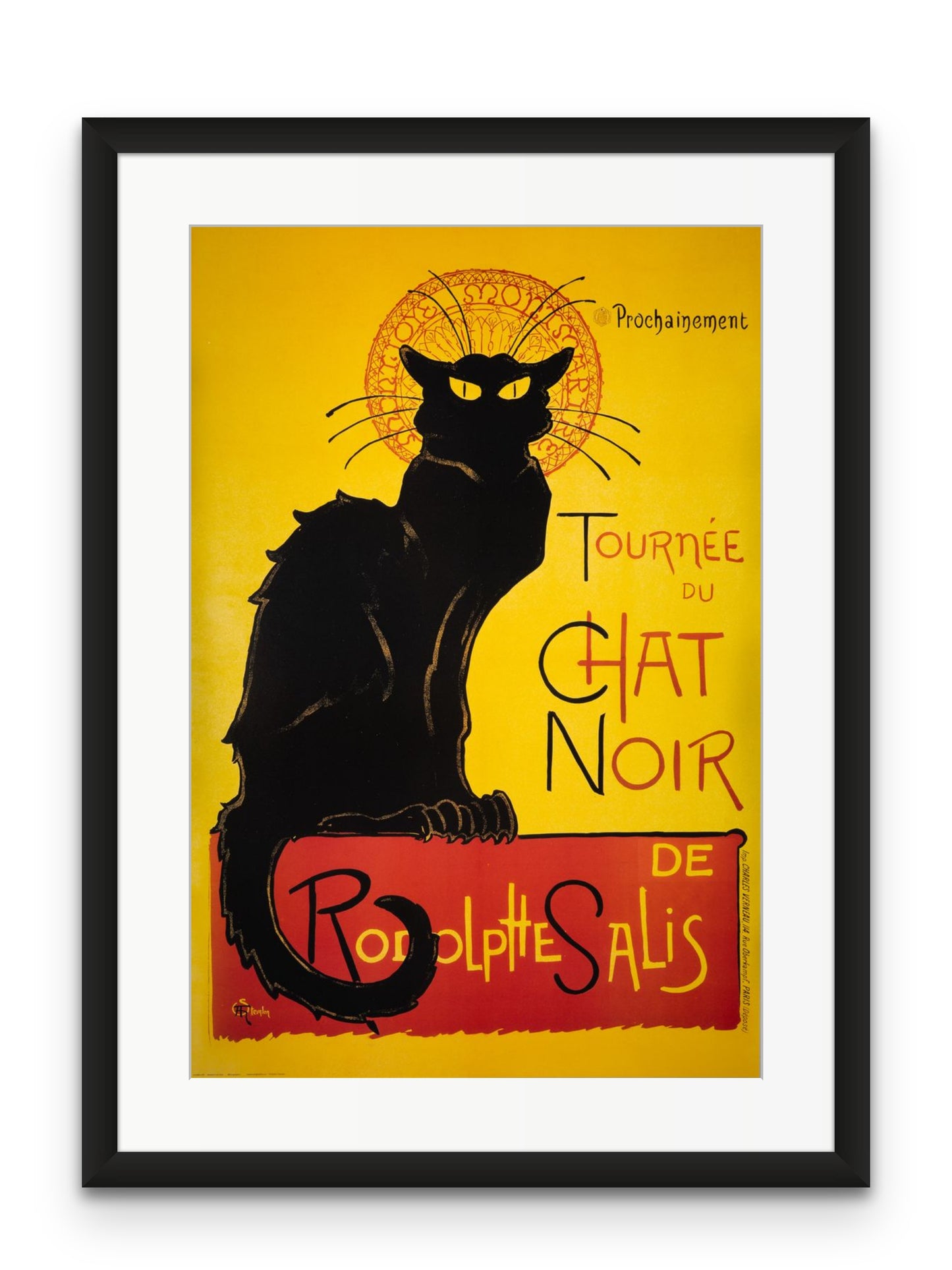 Chat Noir