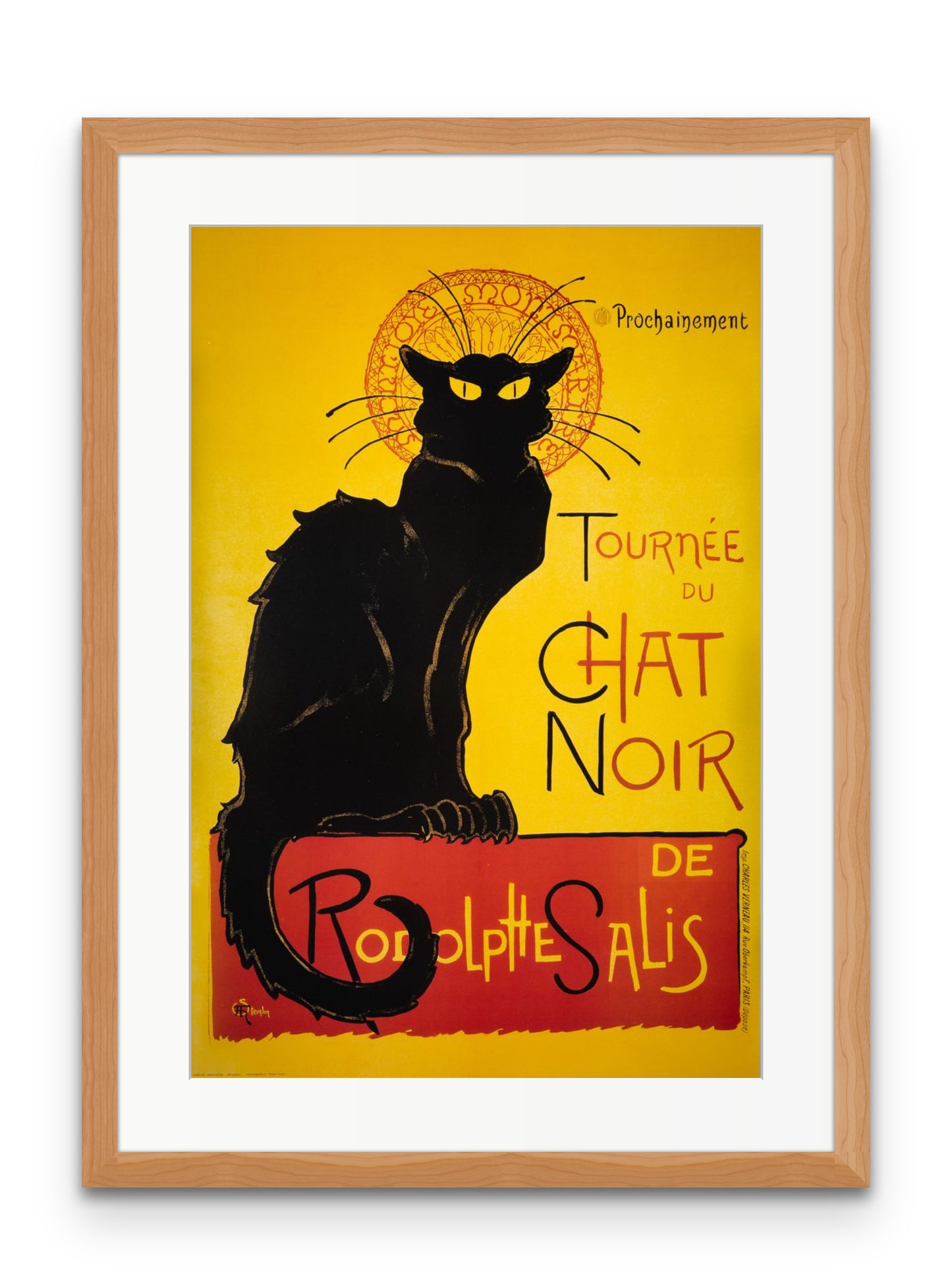 Chat Noir