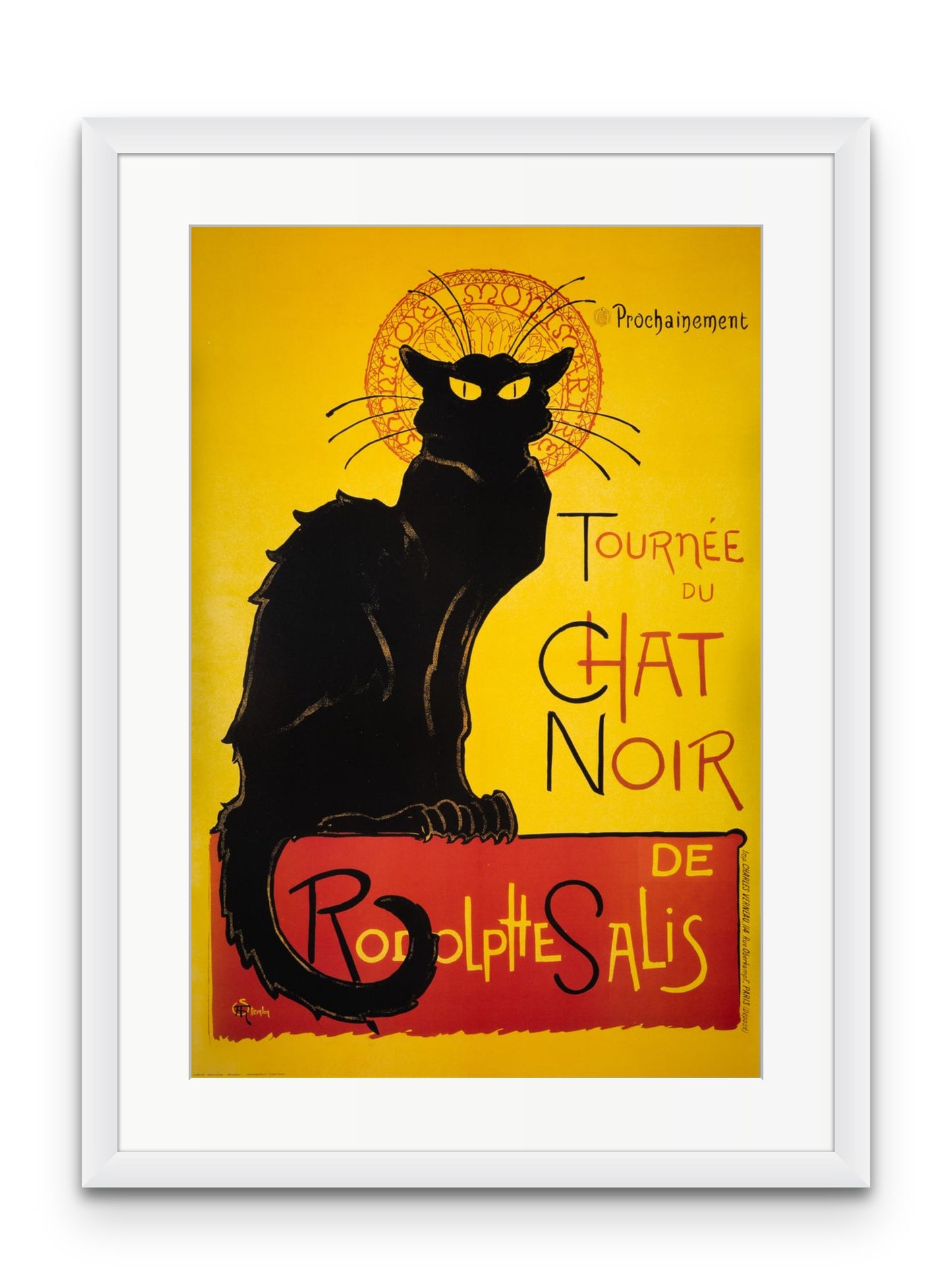 Chat Noir