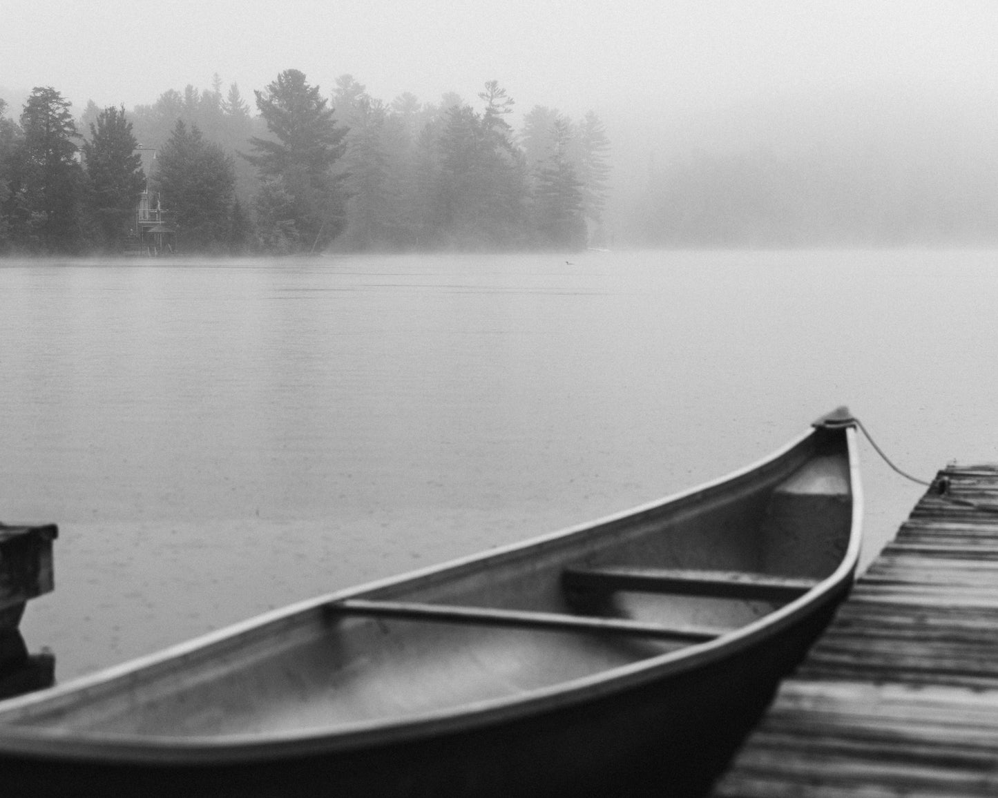 Foggy Canoe