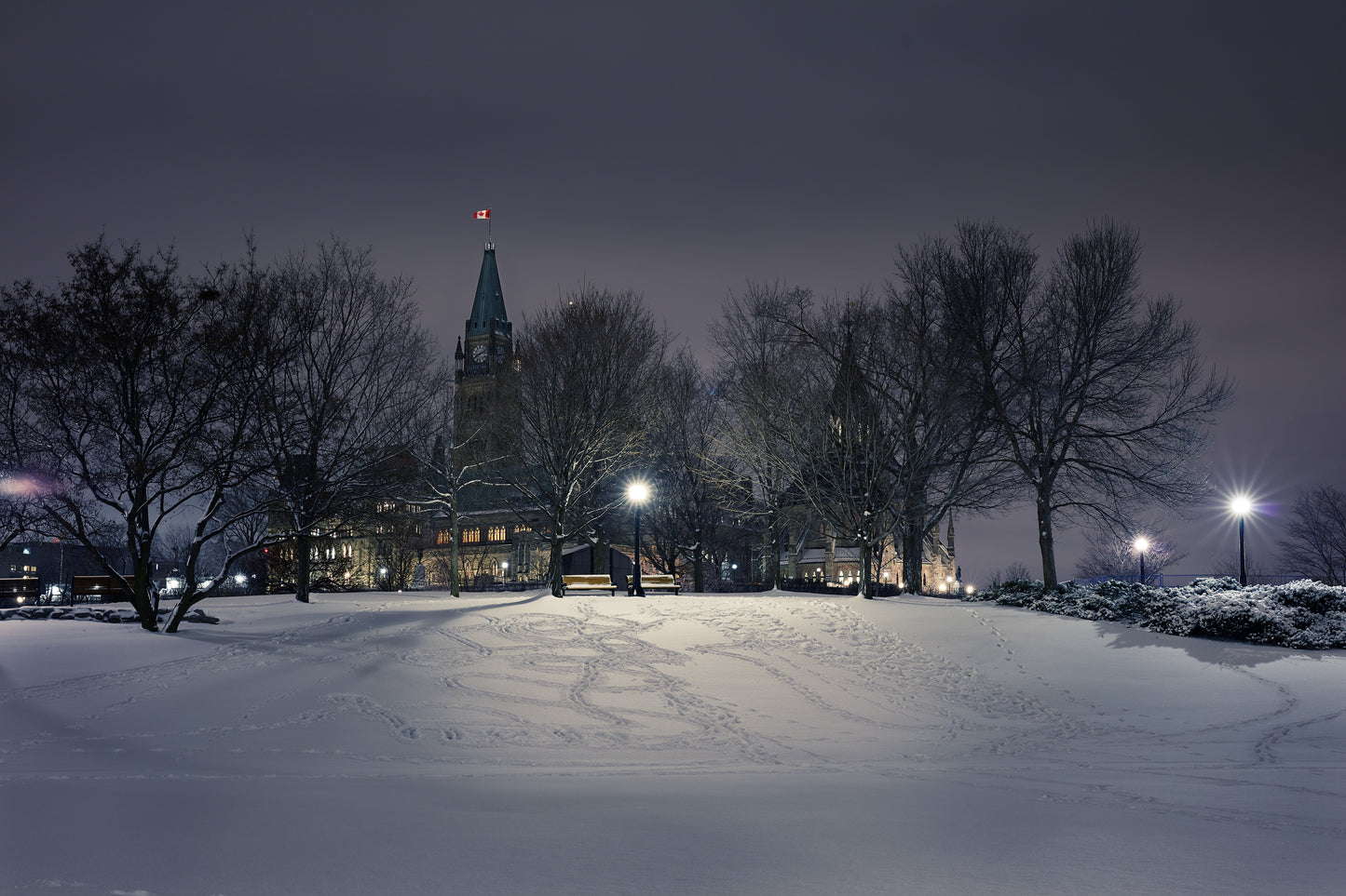 Footprints in the Snow