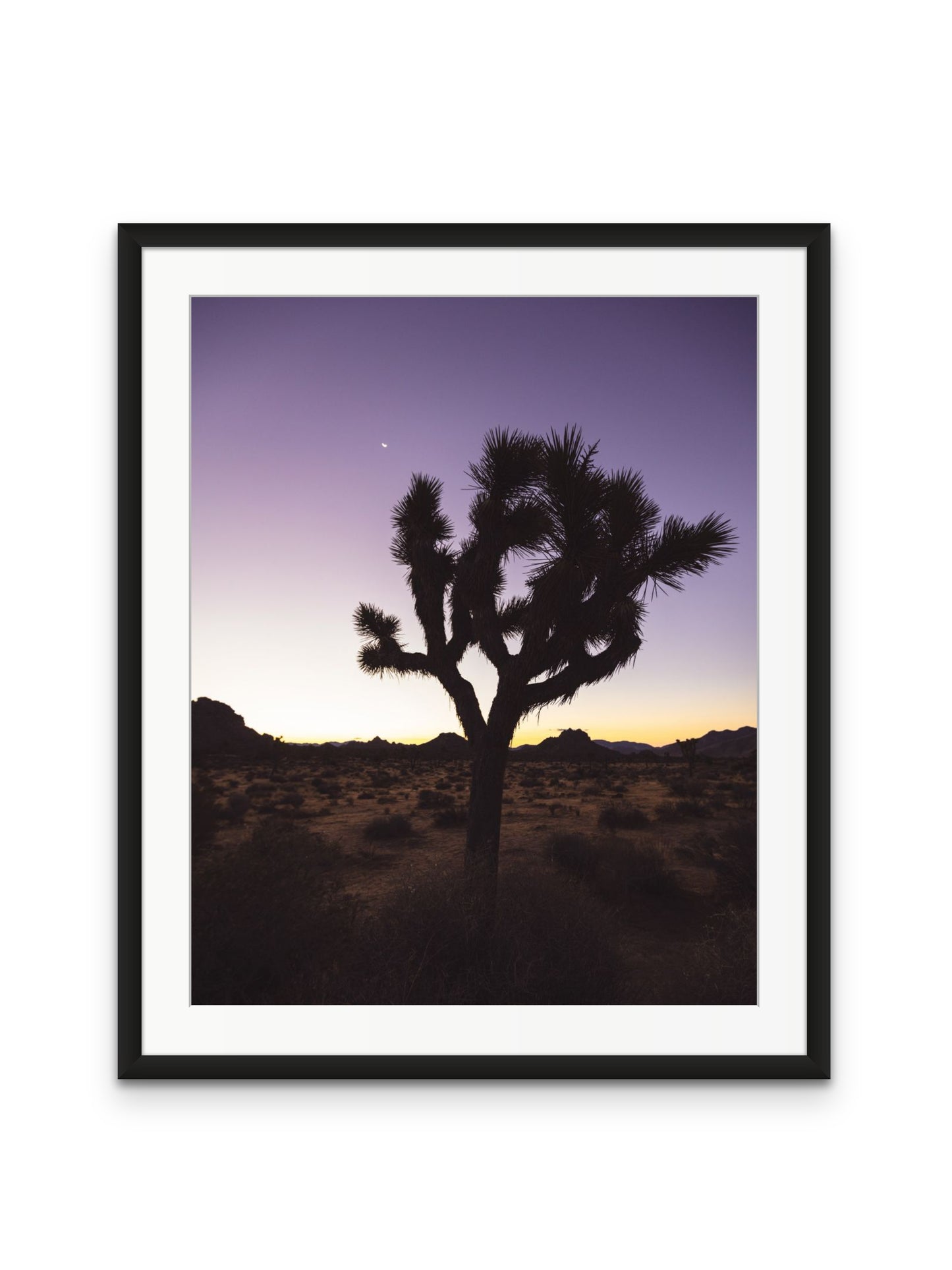 Joshua Tree at Dawn