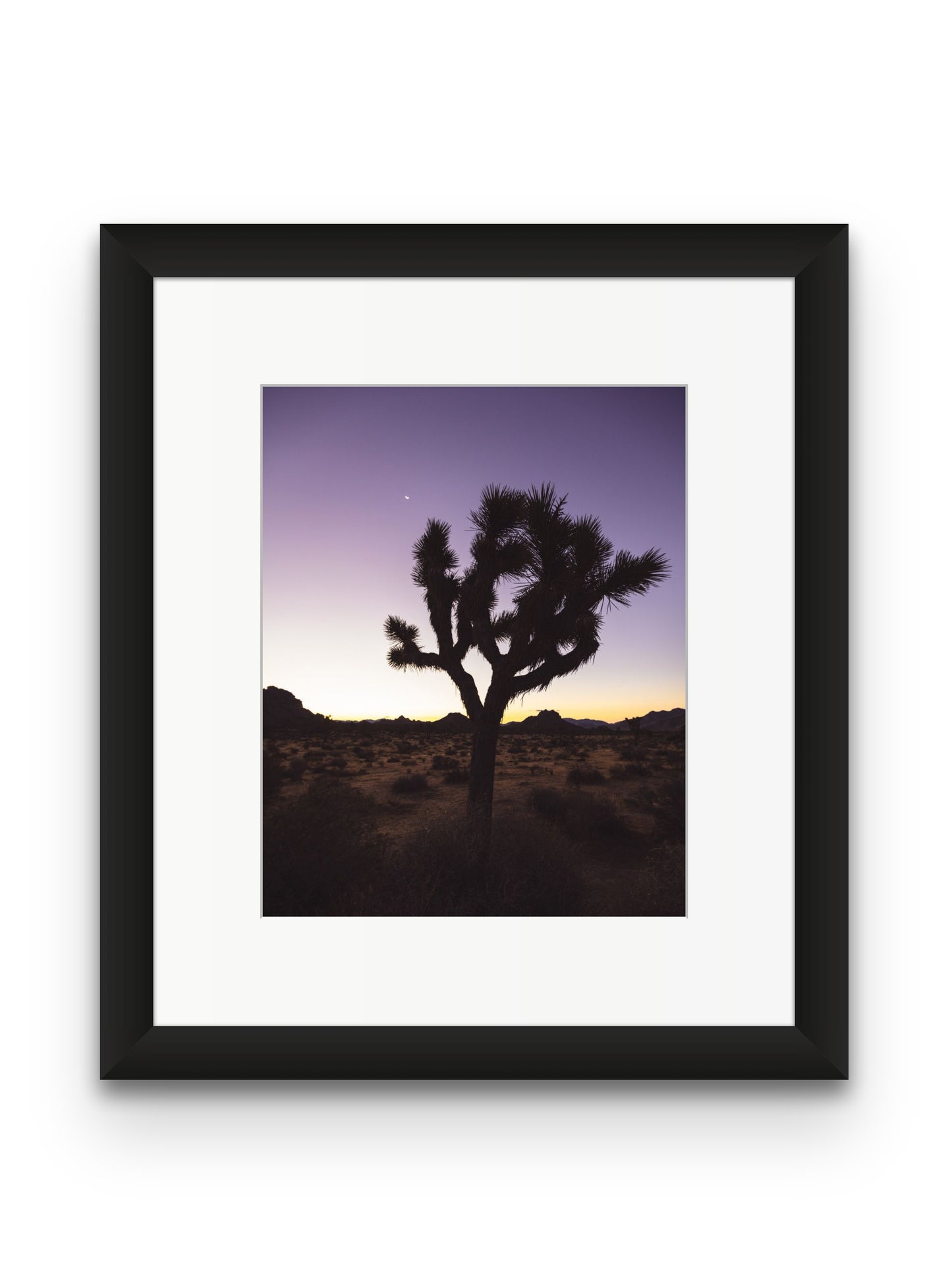 Joshua Tree at Dawn