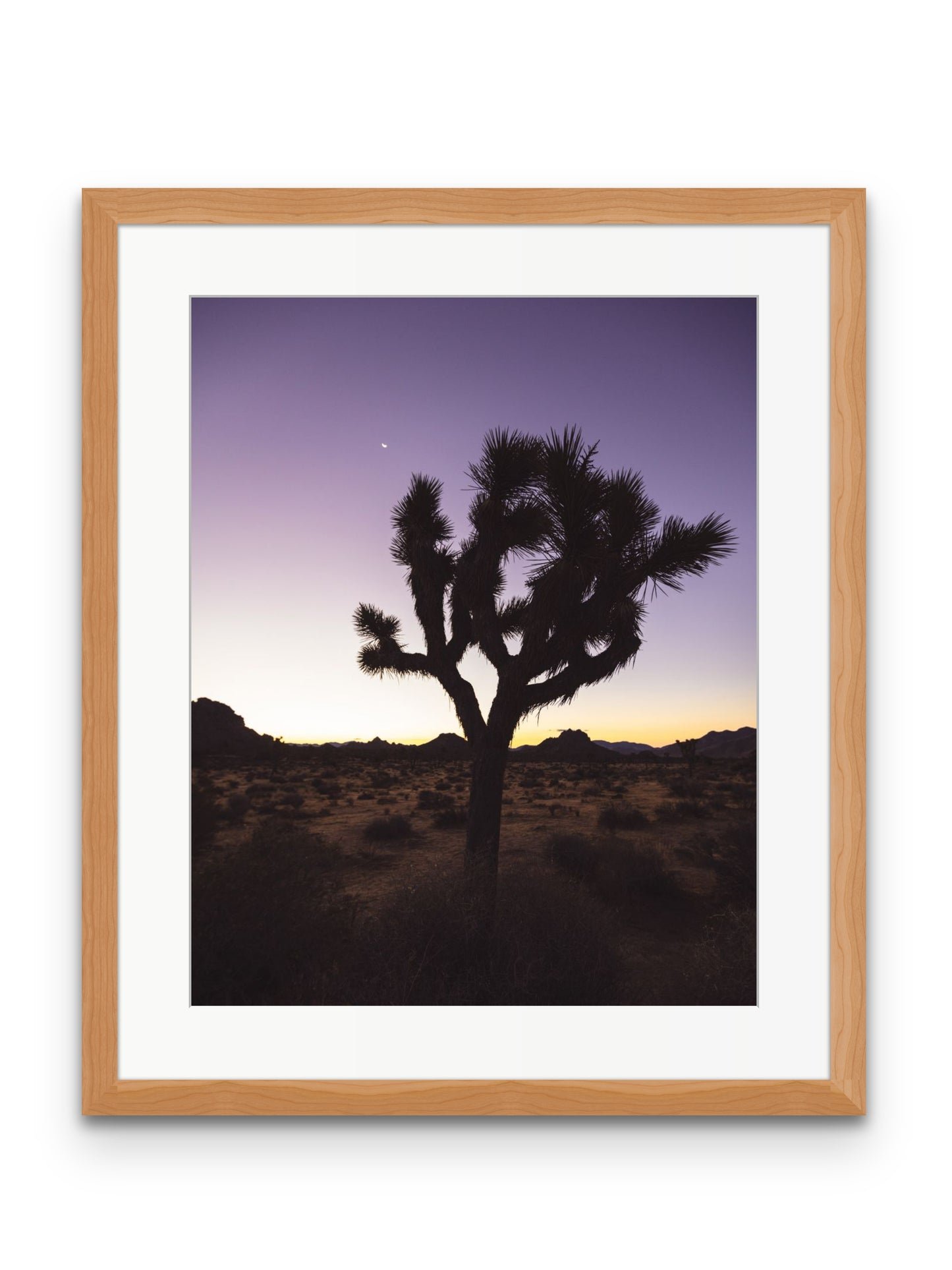 Joshua Tree at Dawn