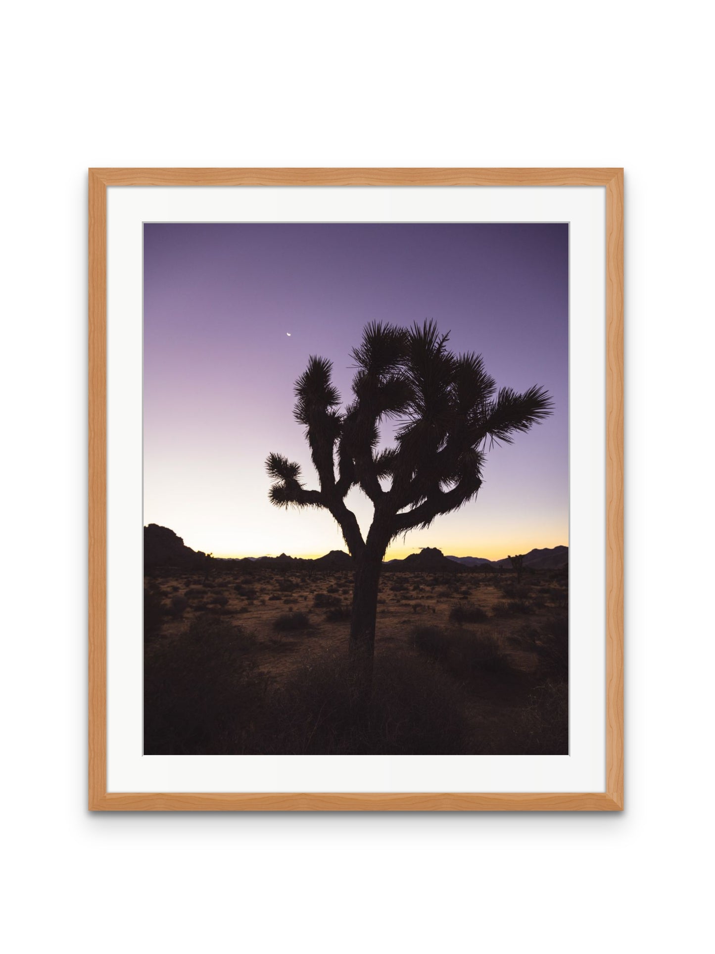 Joshua Tree at Dawn