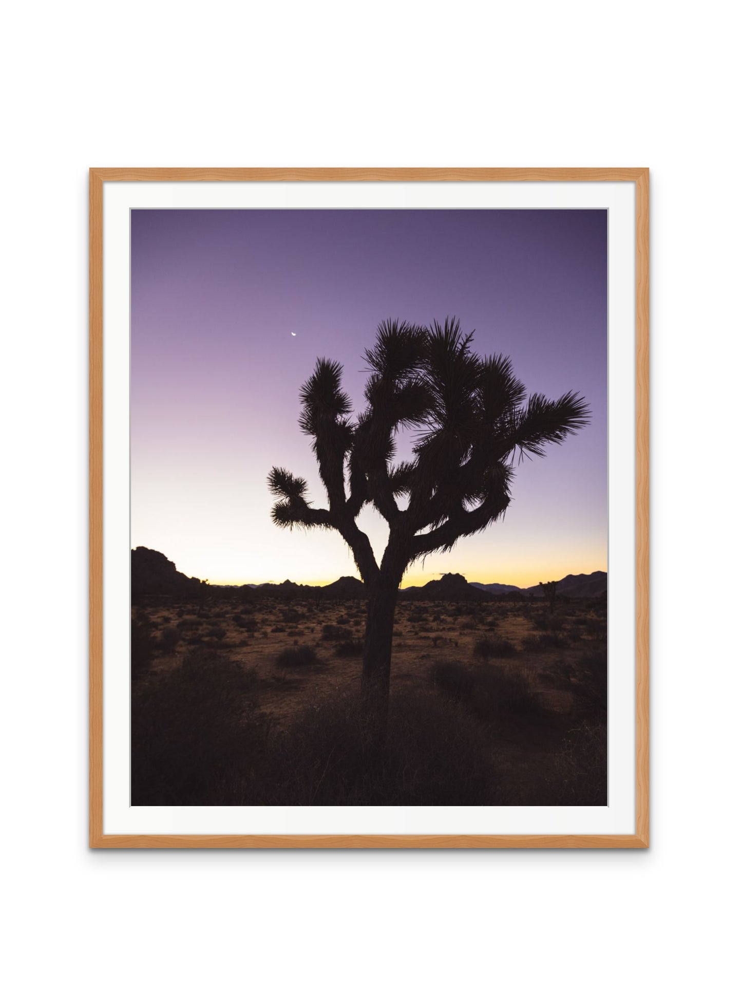 Joshua Tree at Dawn
