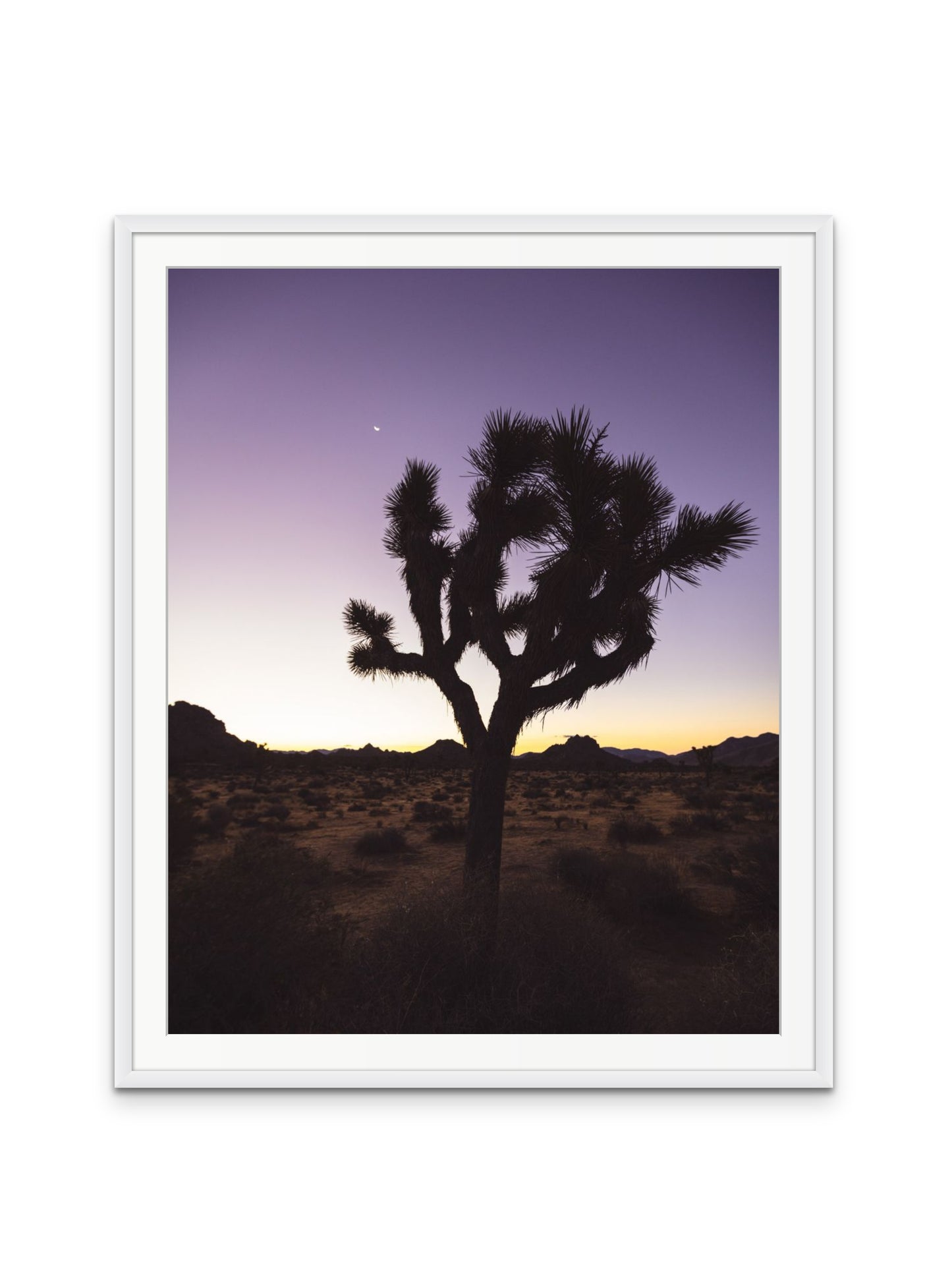 Joshua Tree at Dawn