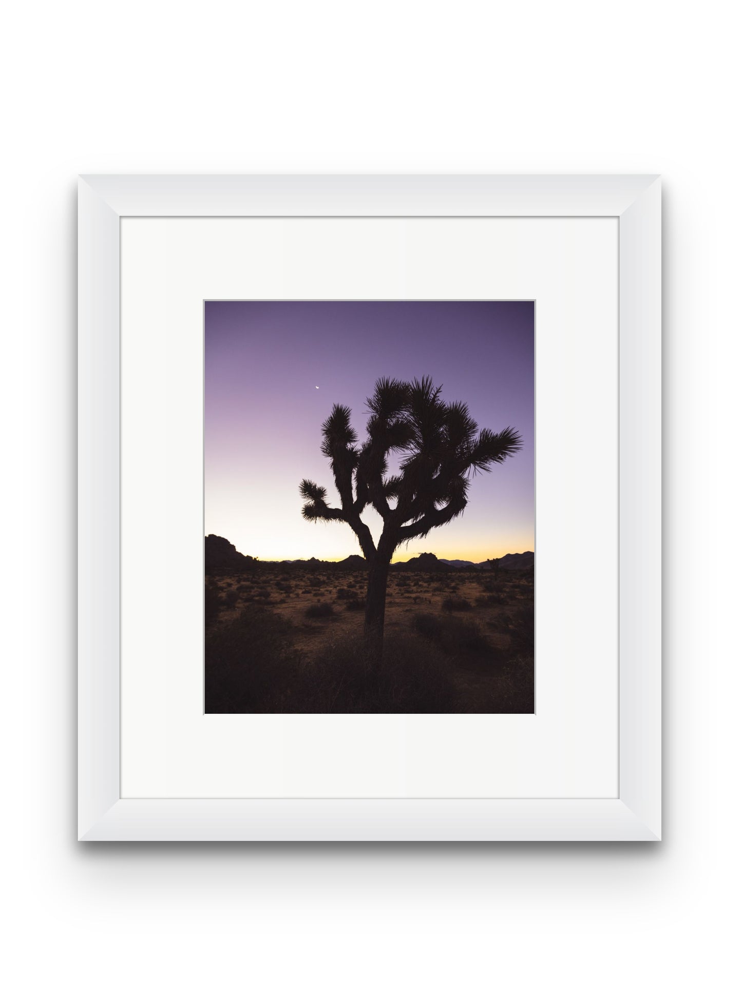 Joshua Tree at Dawn