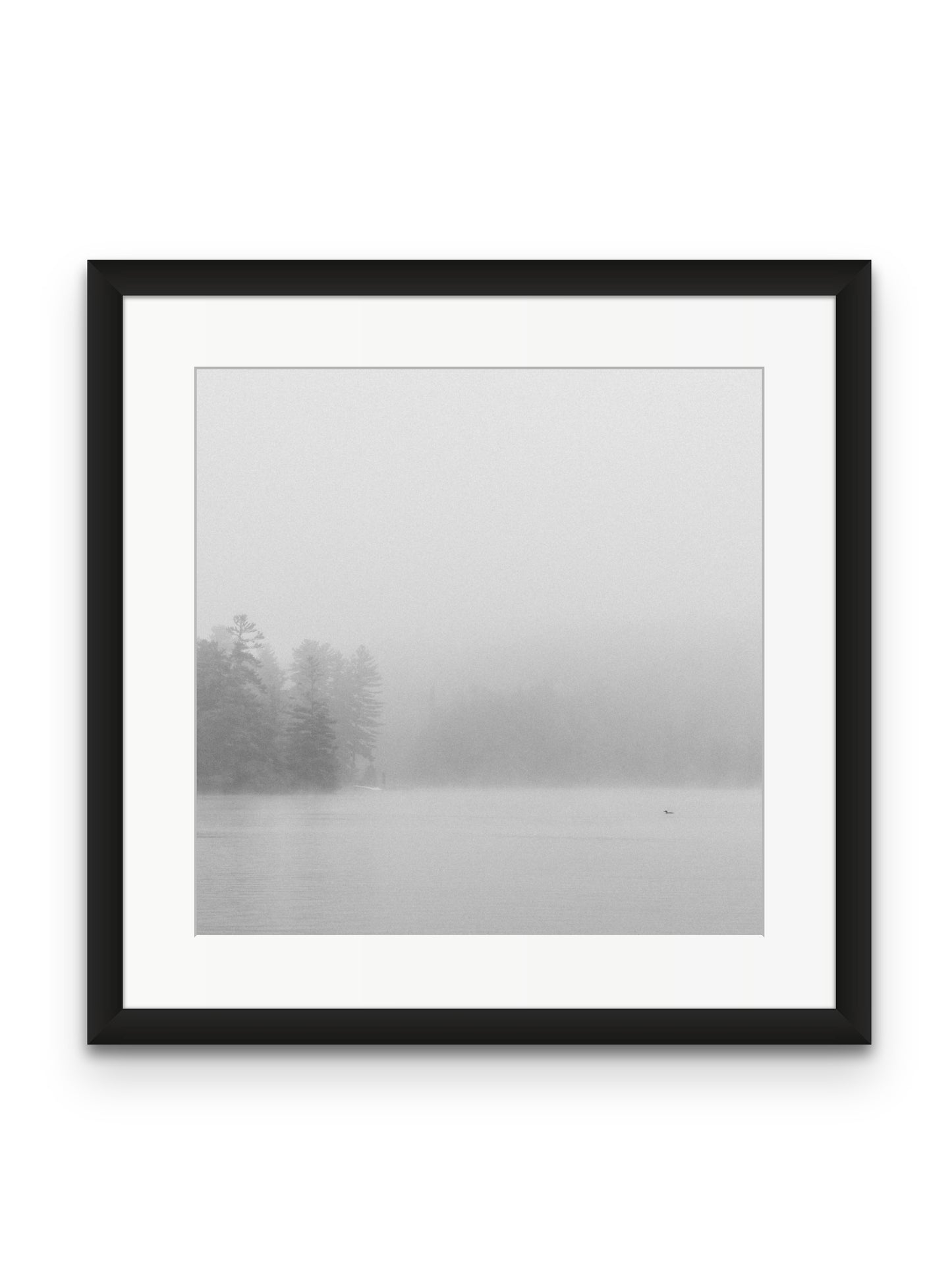 Loon In The Fog