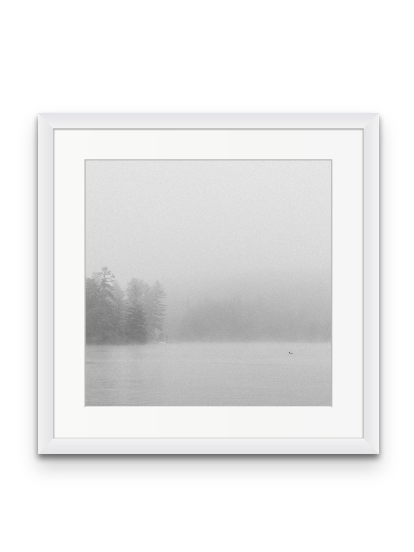 Loon In The Fog