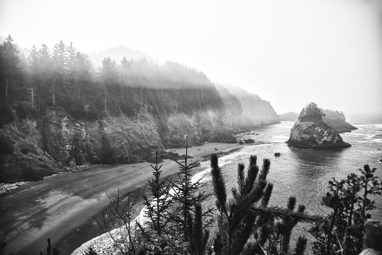 Oregon Coast