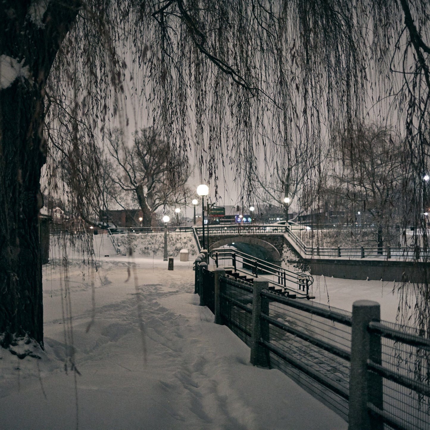 Patterson's Creek at Night