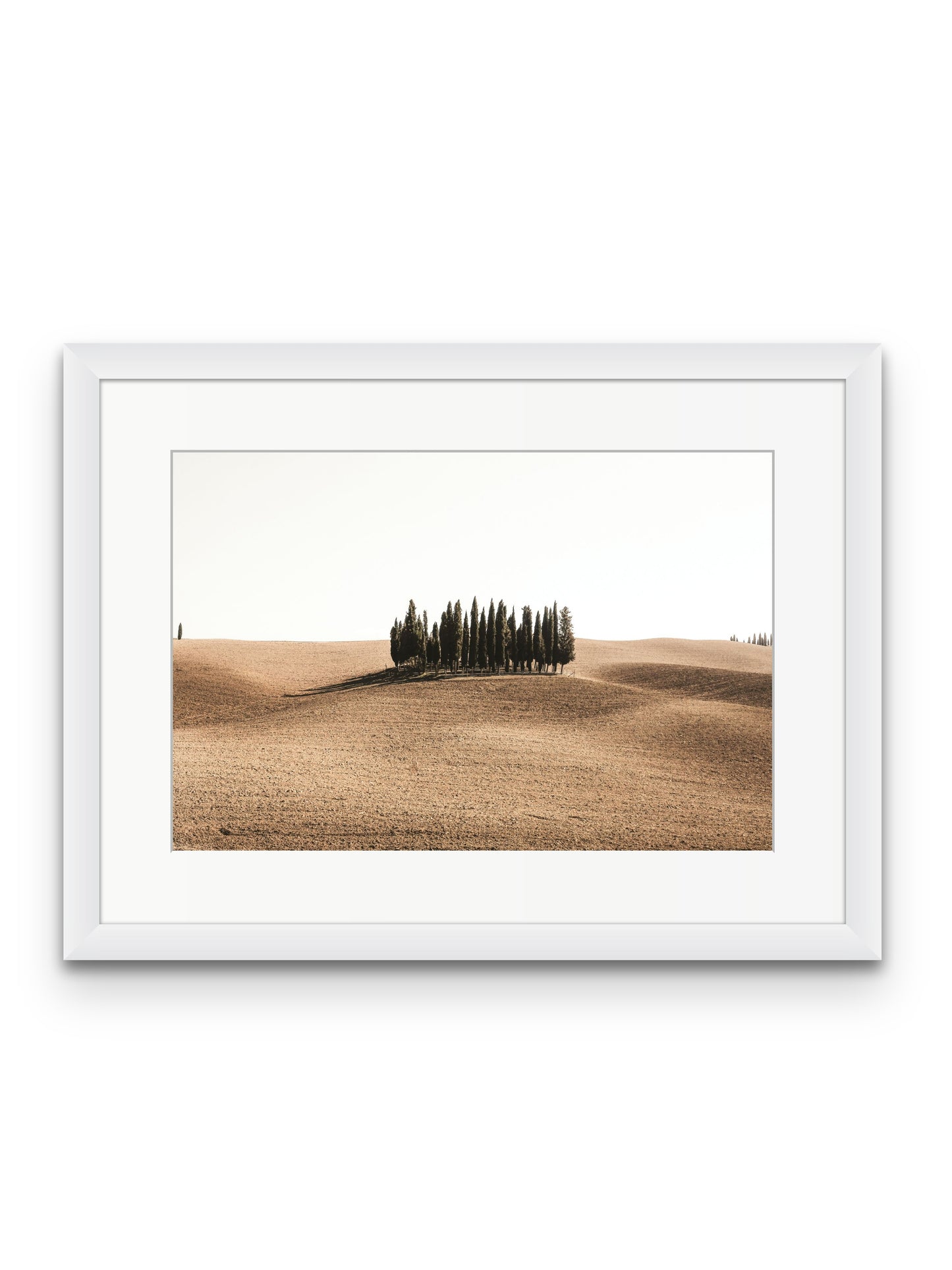 Tuscan Hills