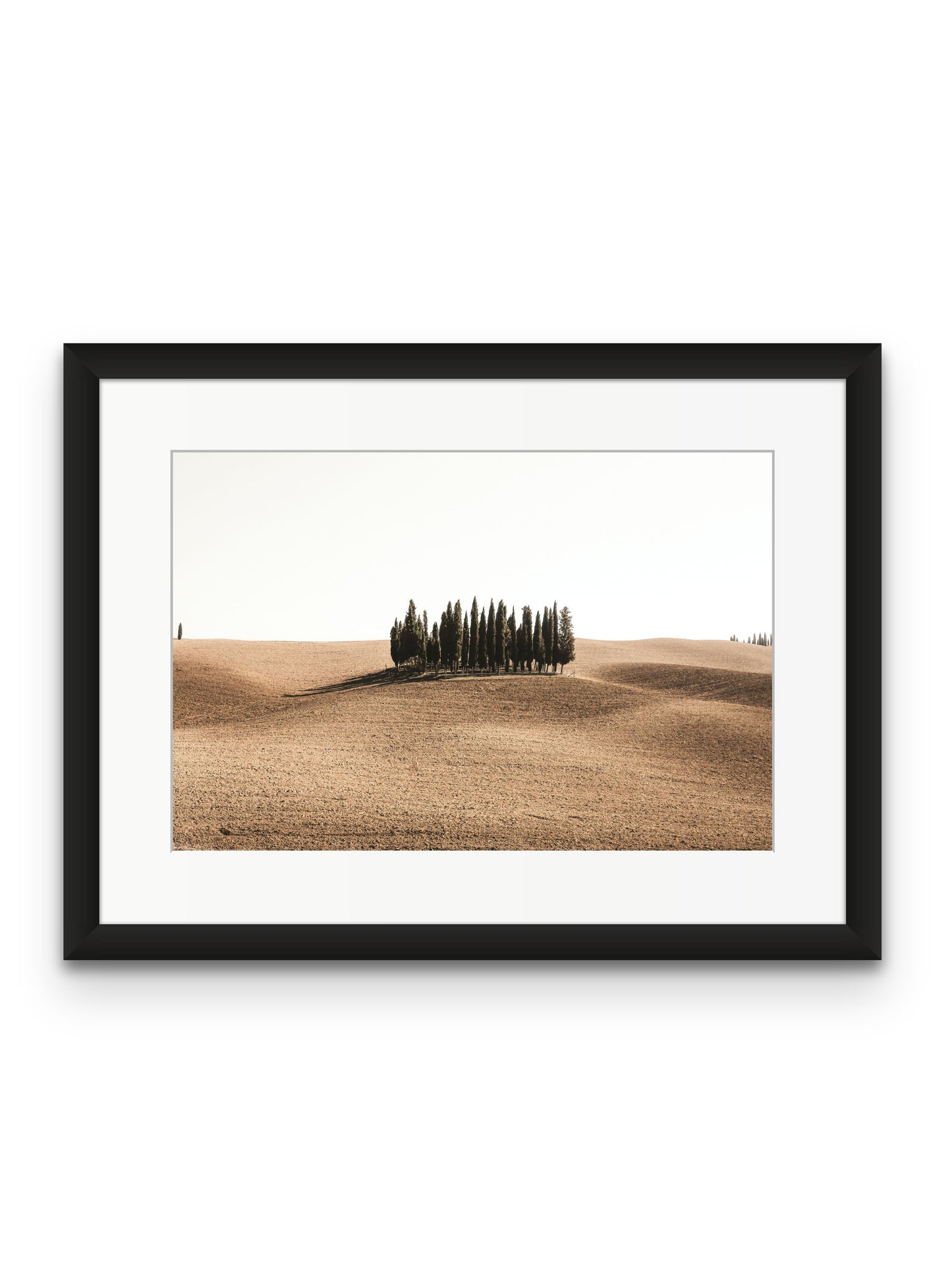 Tuscan Hills