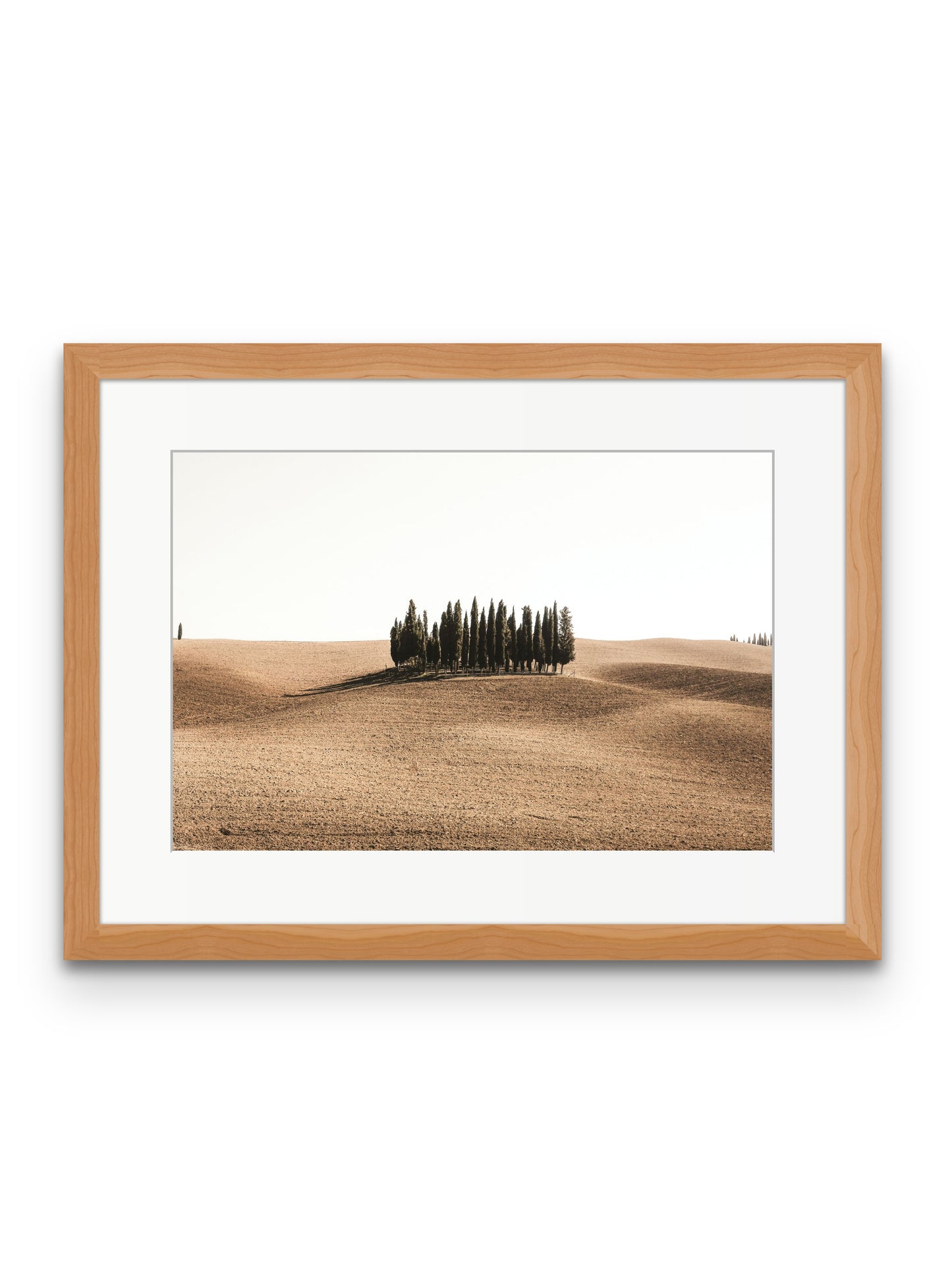 Tuscan Hills
