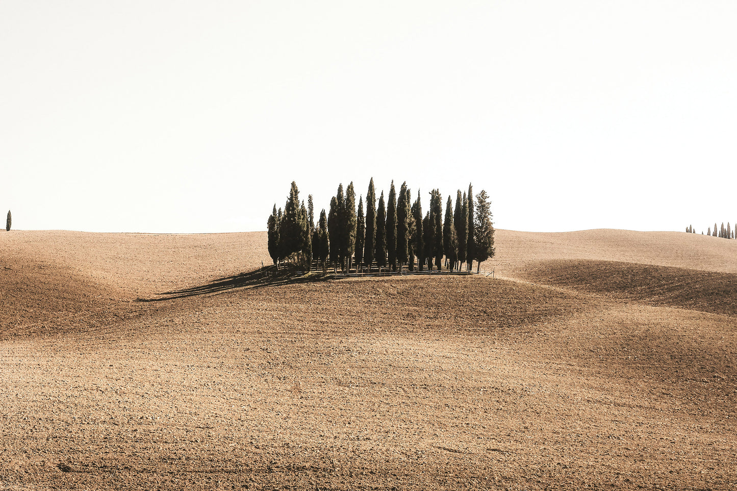 Tuscan Hills