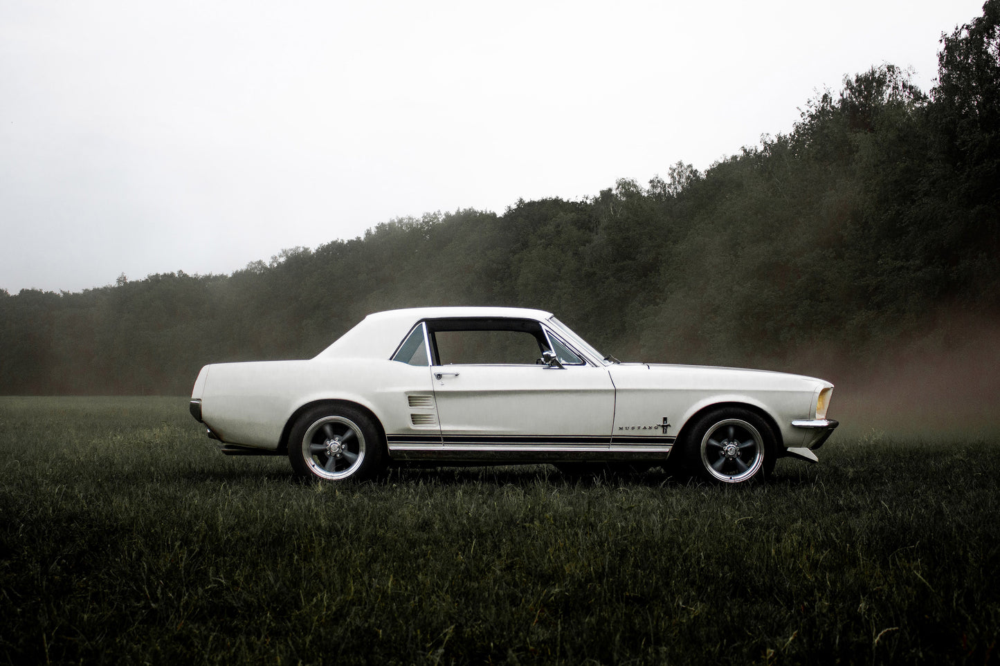Vintage Mustang