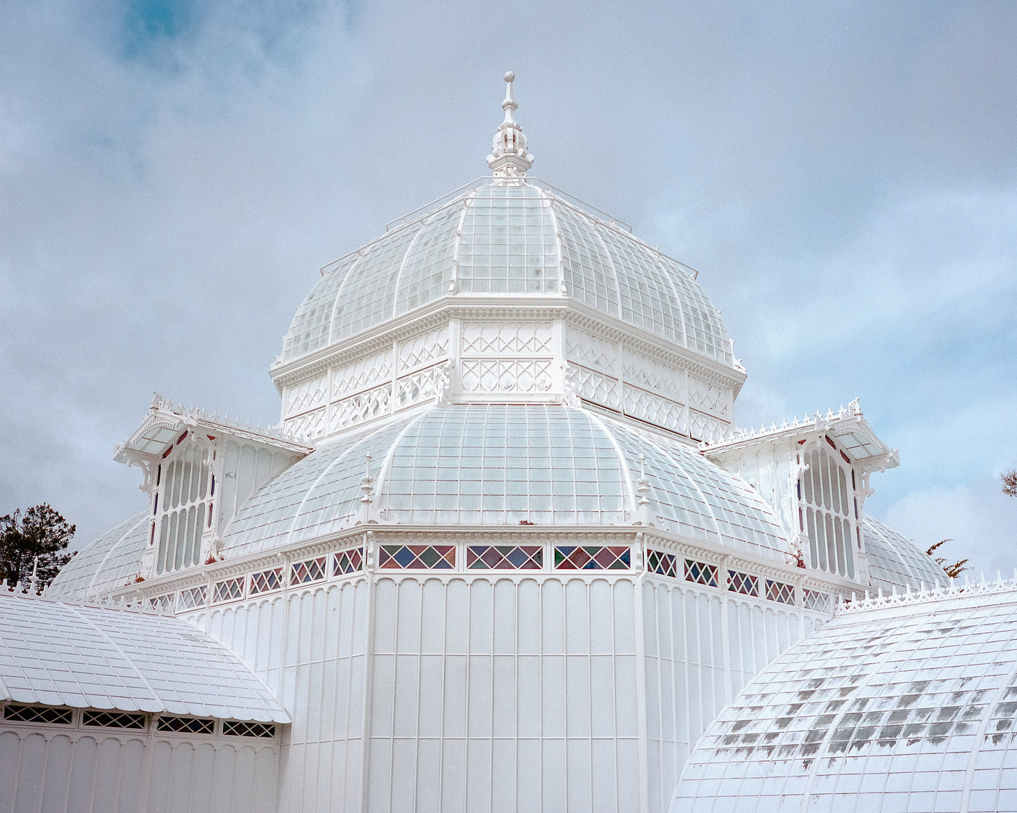 Conservatory of Flowers 1