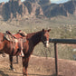 By the Verde River