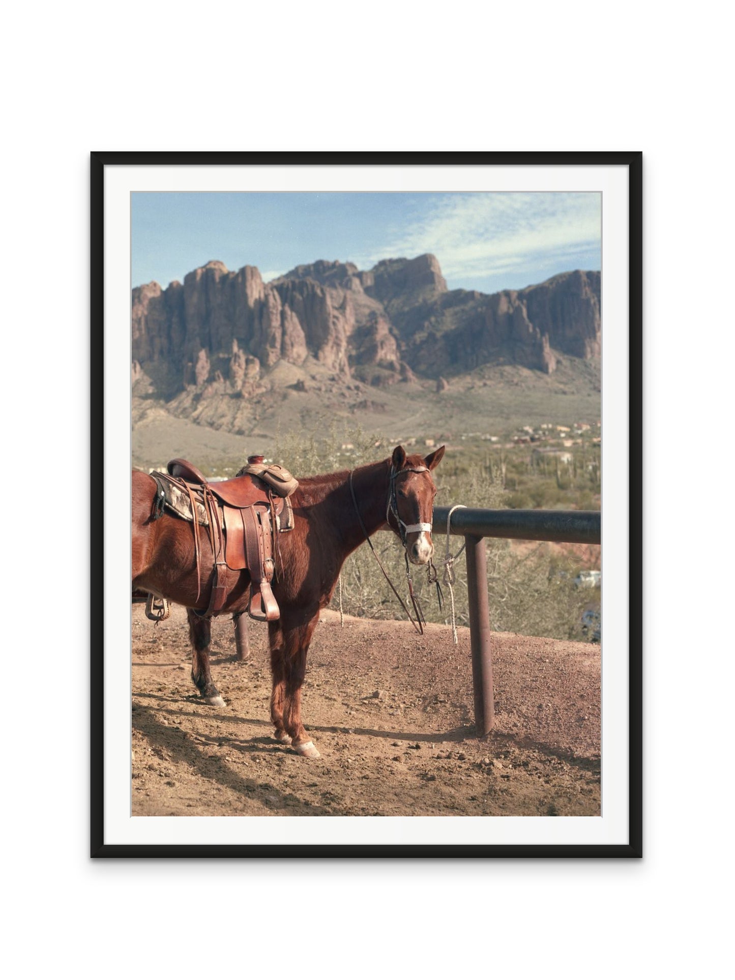 By the Verde River